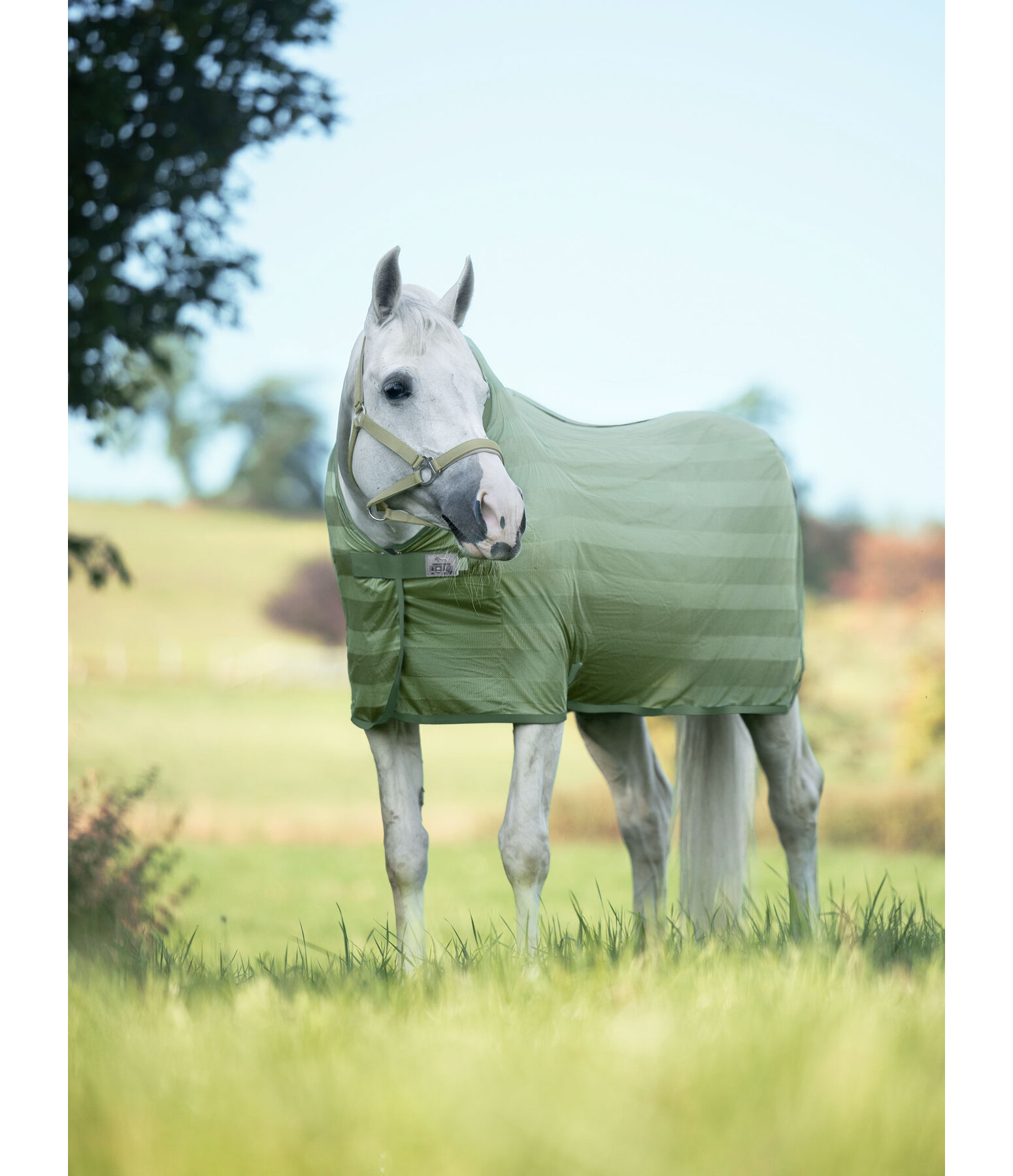 Fly Rug Economy Light