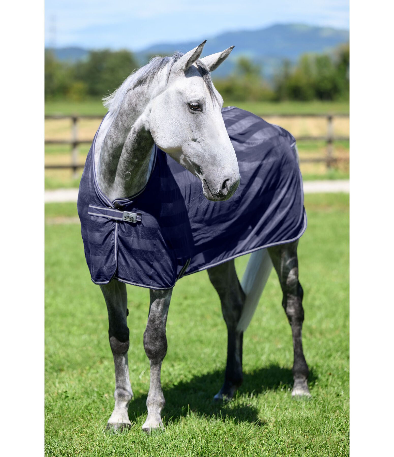 Fly Rug Economy Light