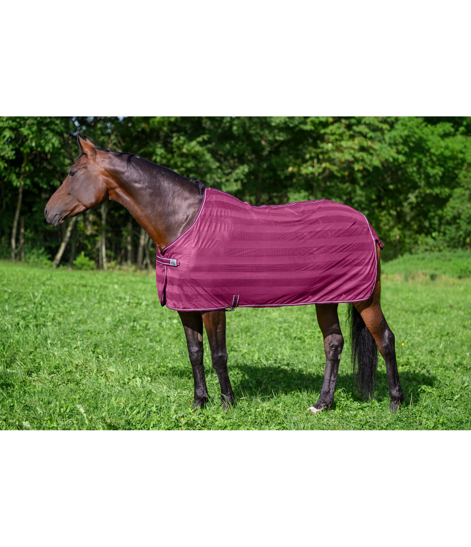 Fly Rug Economy Light