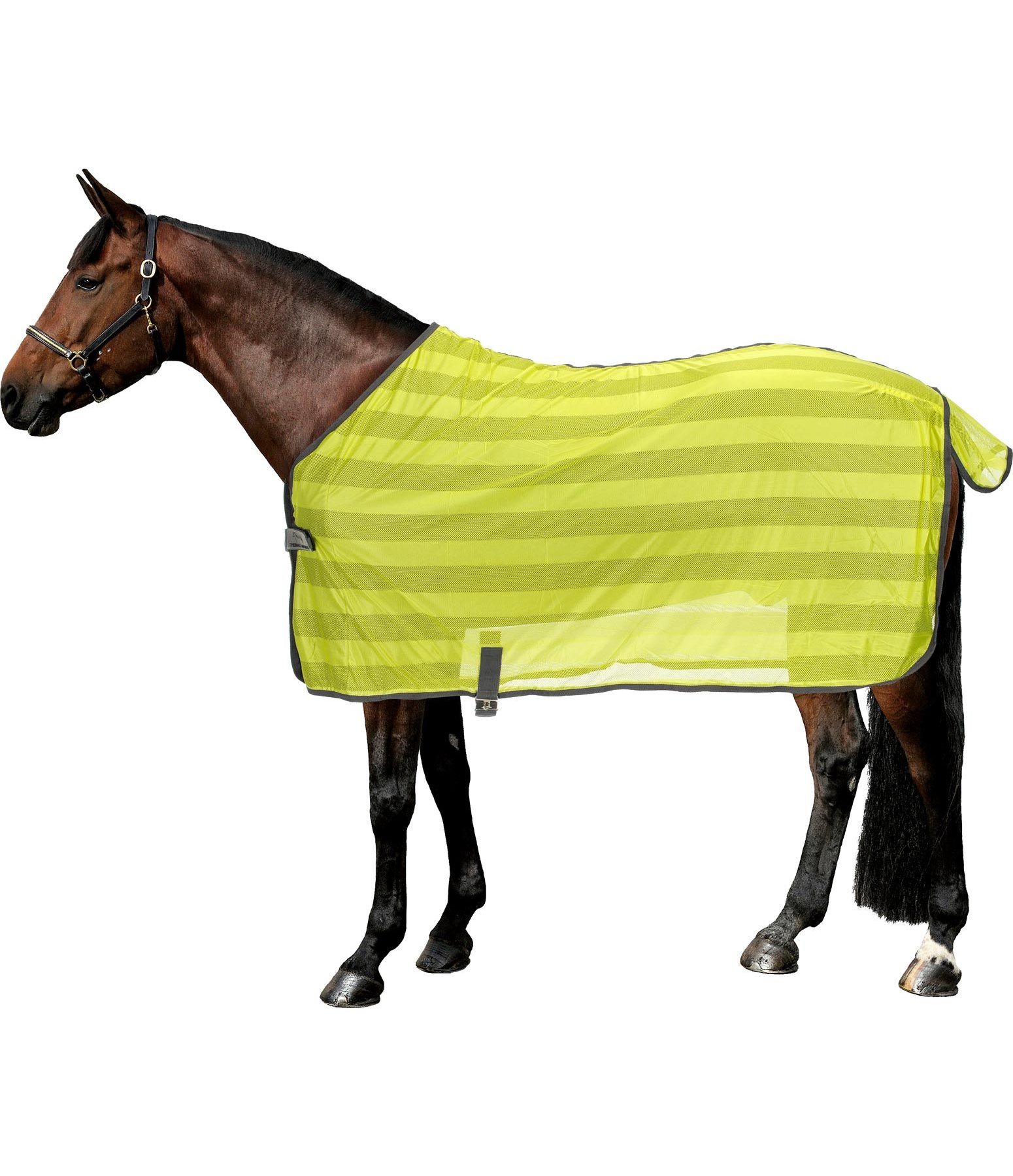 Fly Rug Economy Light Fly Rugs Kramer Equestrian