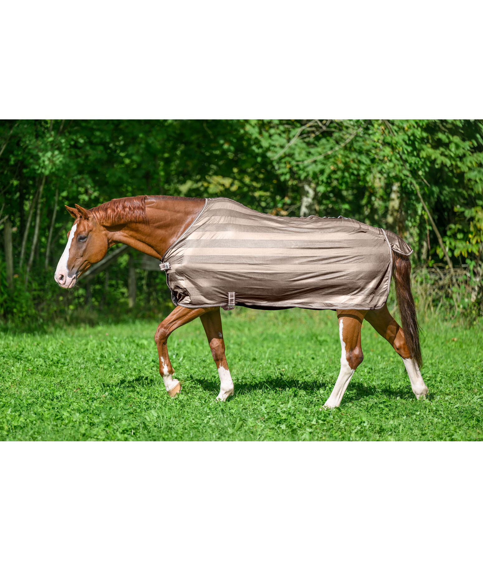 Fly Rug Economy Light