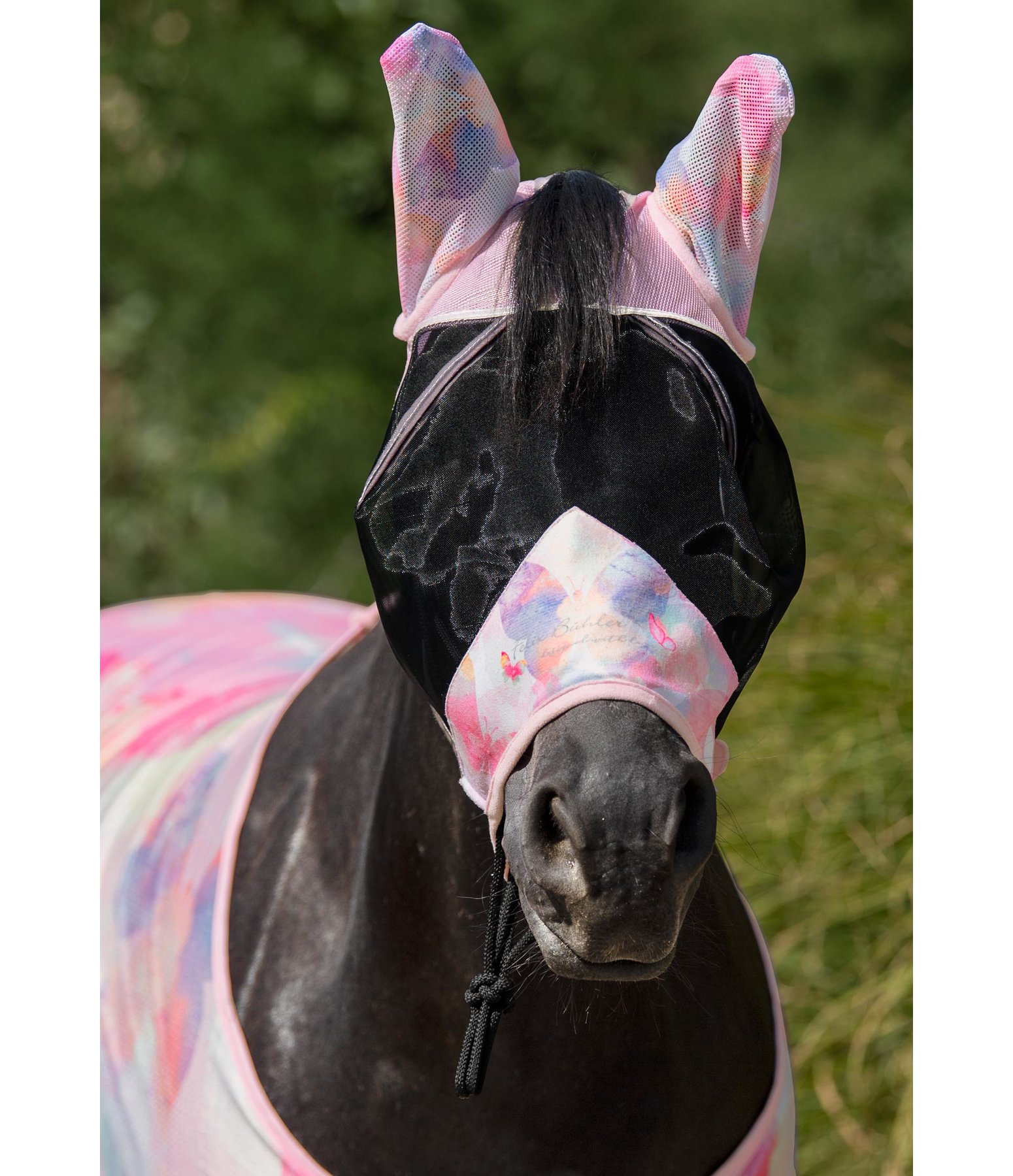 Fly Mask Butterfly Fly Masks & Fringes Kramer Equestrian