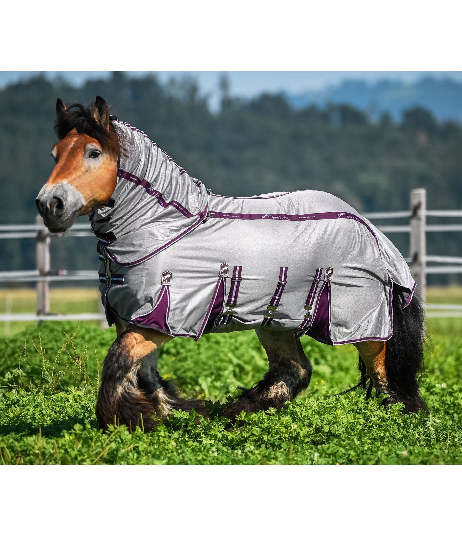 Fly Rug Maximum Comfort Fly Rugs Kramer Equestrian