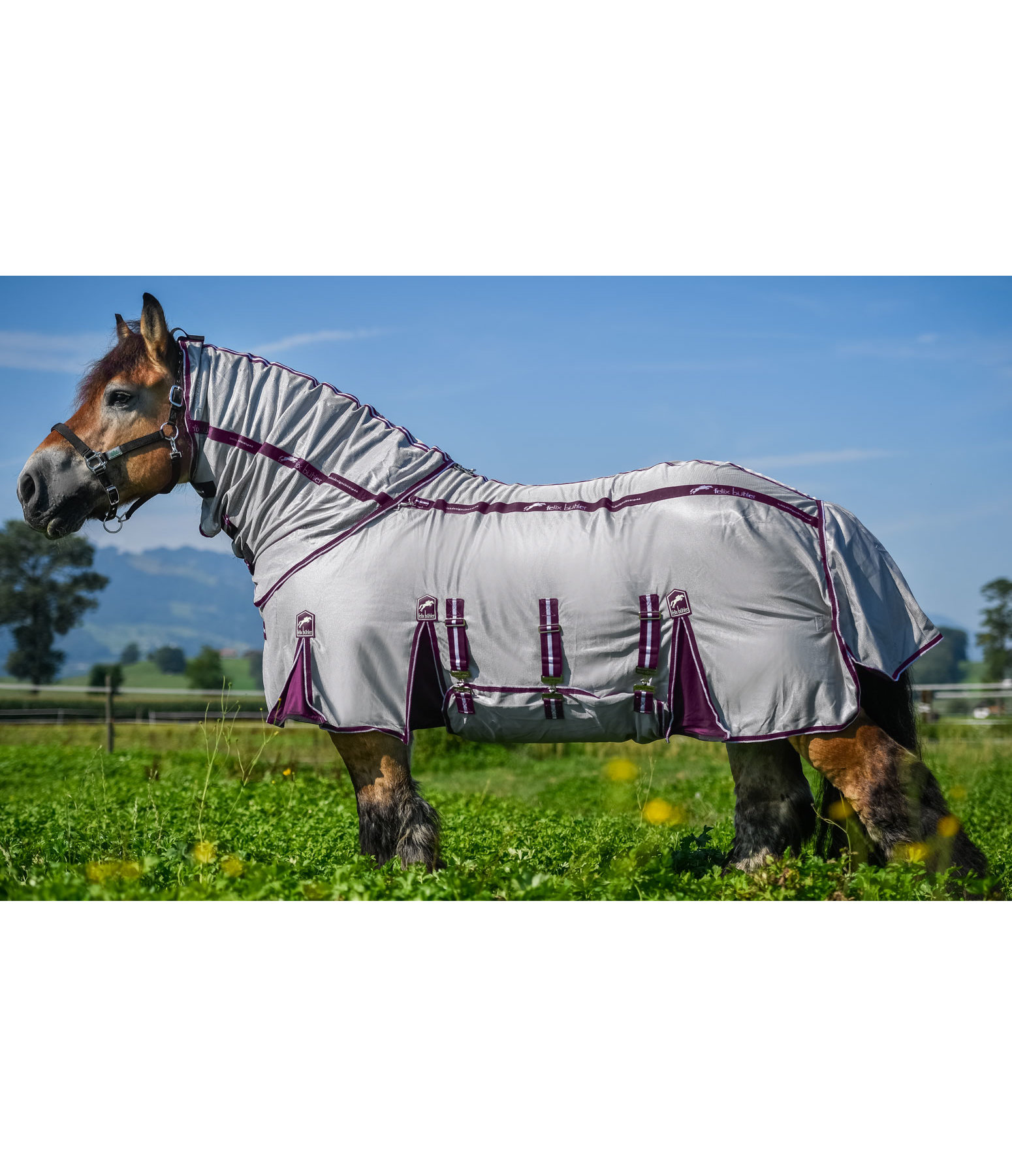 Fly Rug Maximum Comfort Fly Rugs Kramer Equestrian