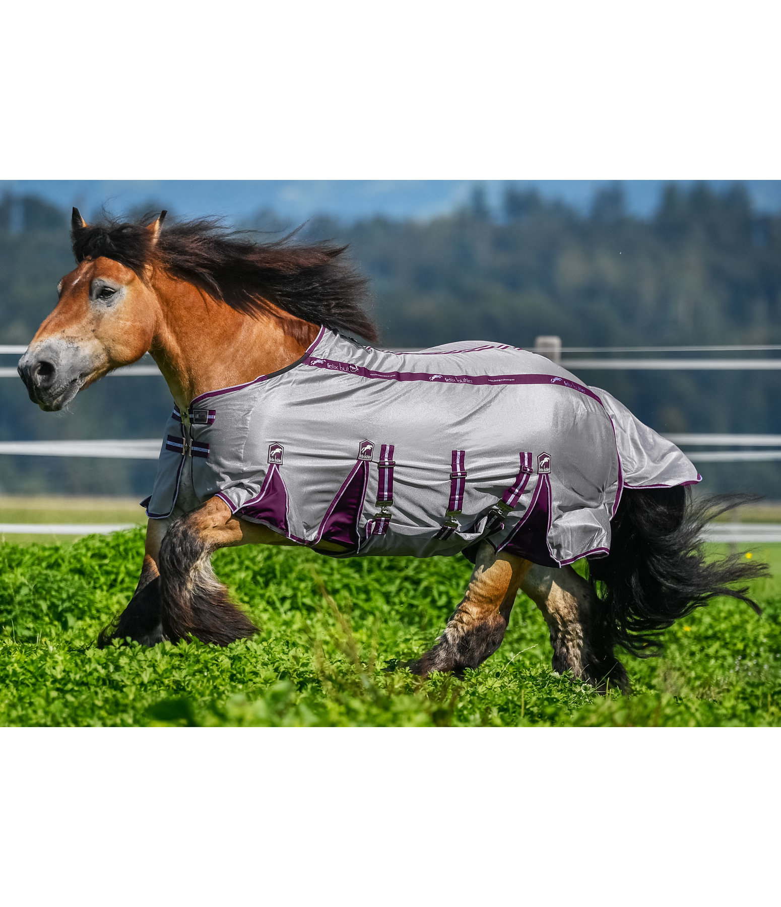Fly Rug Maximum Comfort Fly Rugs Kramer Equestrian