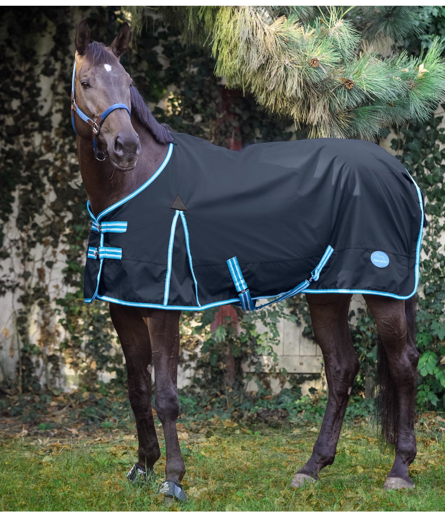 Turnout Rug Kadir Lightweight Turnout Rugs Kramer Equestrian