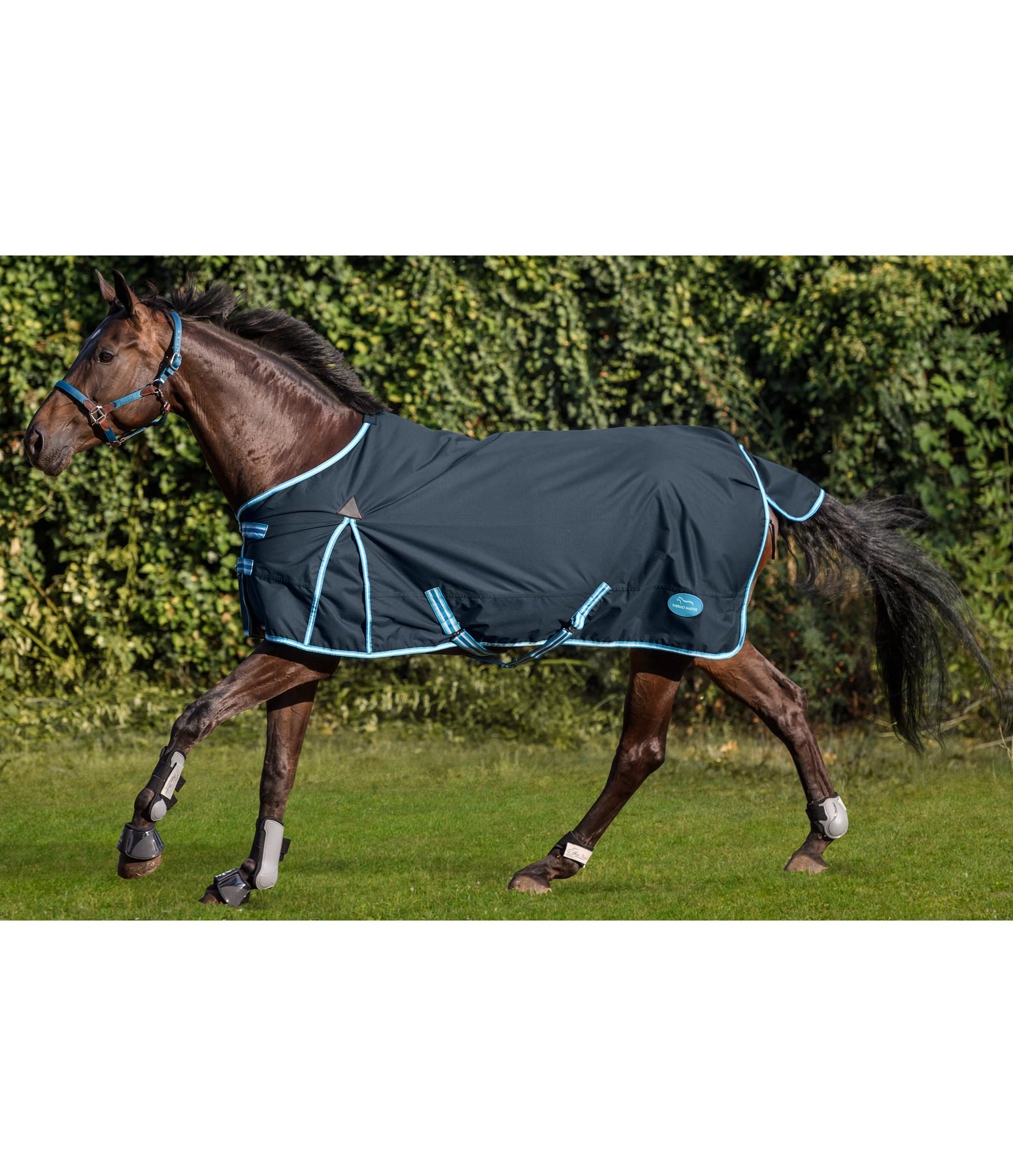 Turnout Rug Kadir Lightweight Turnout Rugs Kramer Equestrian