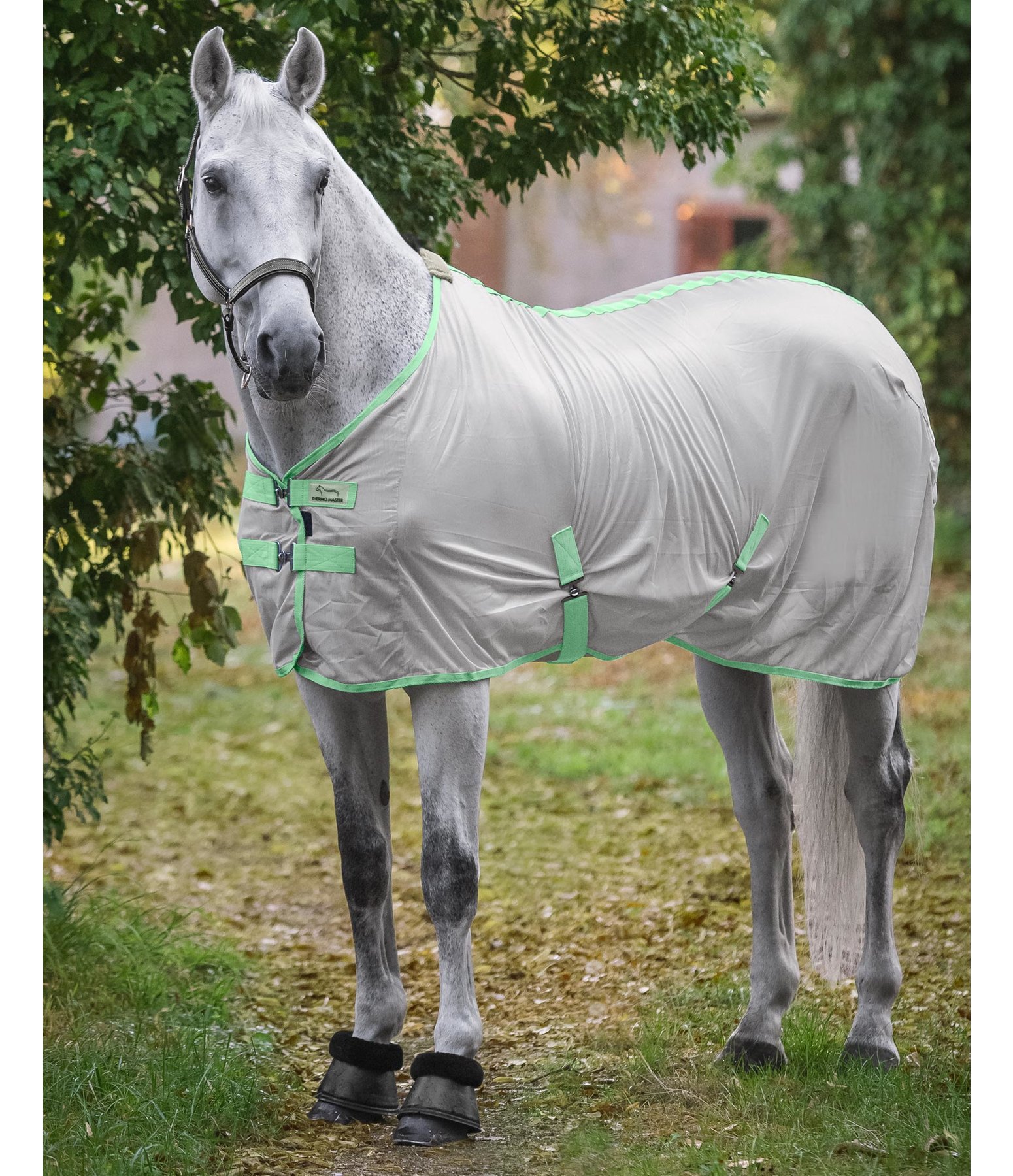 Fly Rug Zoella Fly Rugs Kramer Equestrian