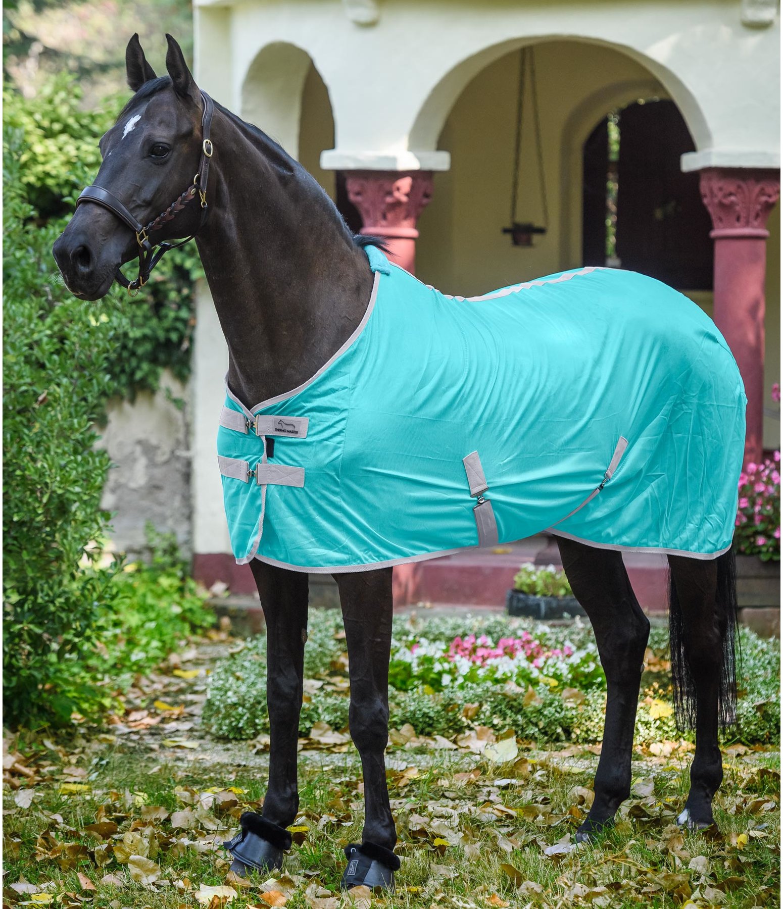 Fly Rug Zoella Fly Rugs Kramer Equestrian