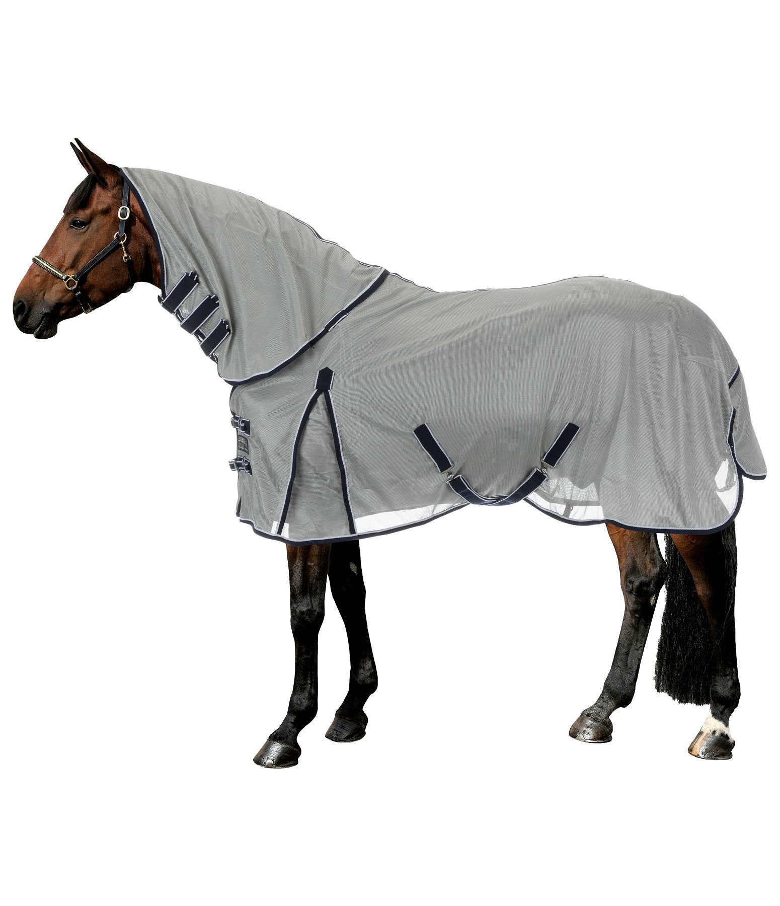 Full Neck Fly Rug with Retractable Neck