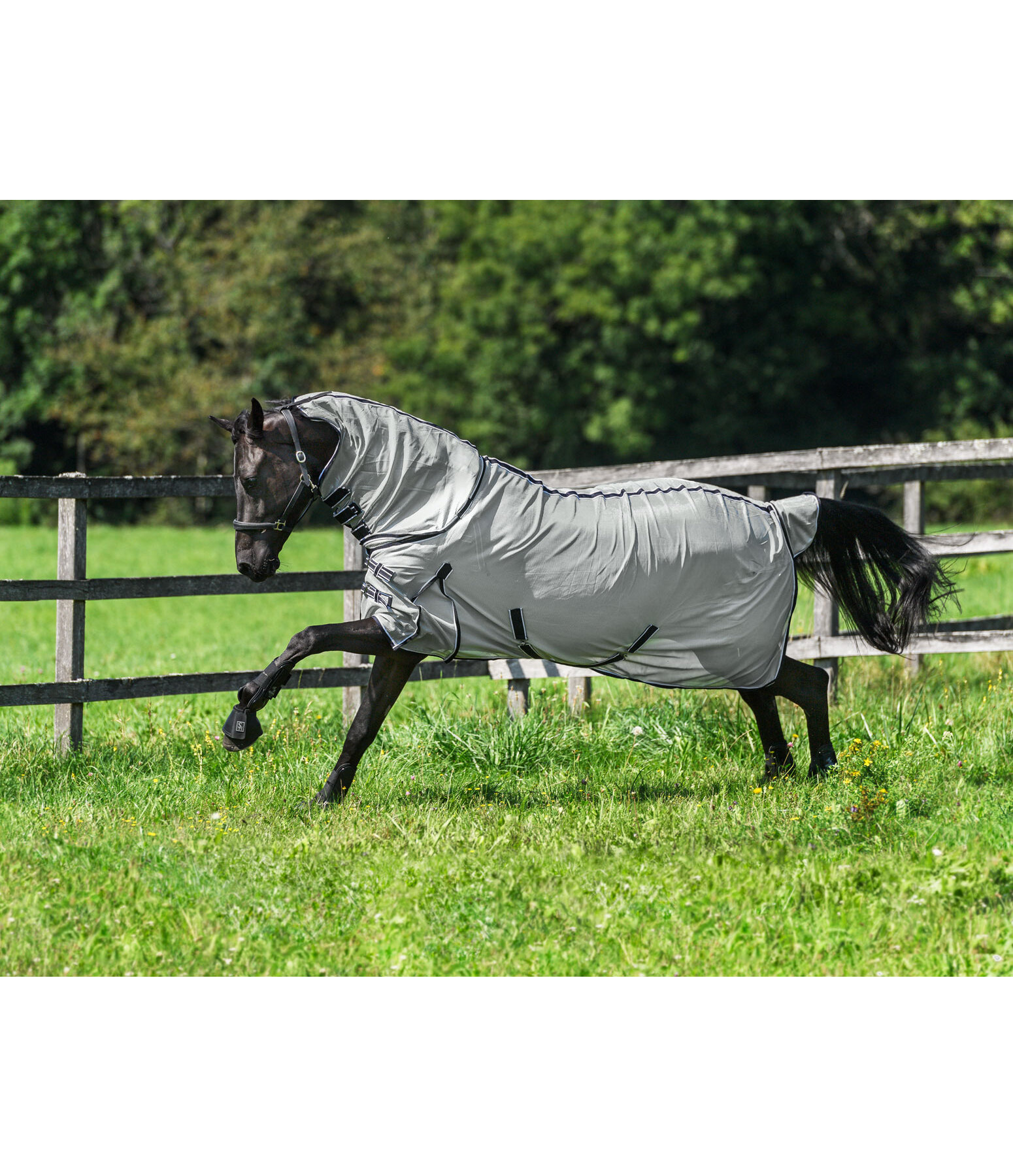 Full Neck Fly Rug with Retractable Neck