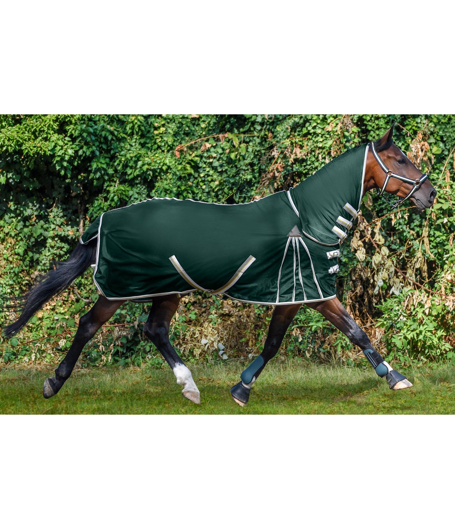 Fly Rug Full Neck Protect II Fly Rugs Kramer Equestrian