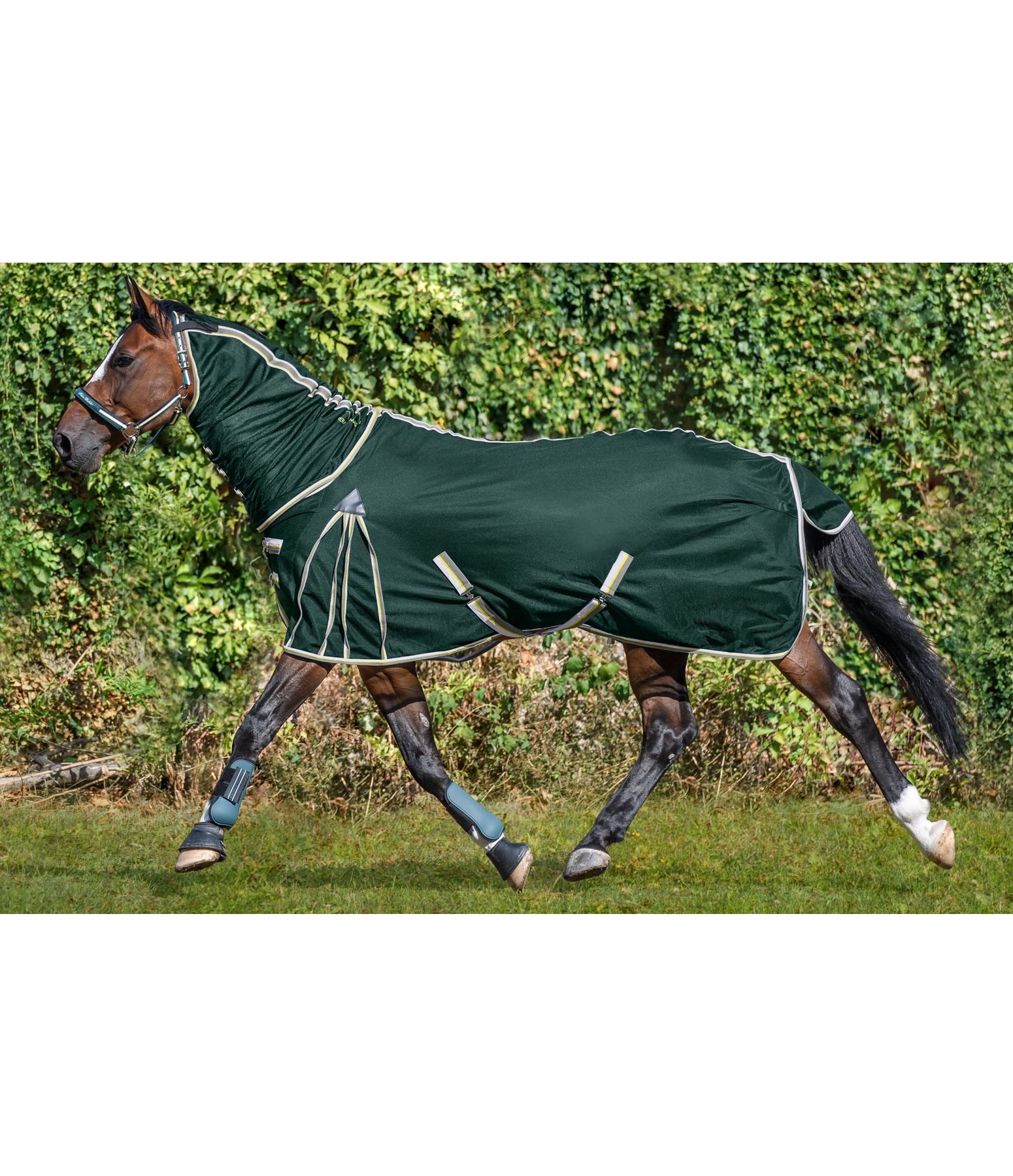 Fly Rug Full Neck Protect II Fly Rugs Kramer Equestrian