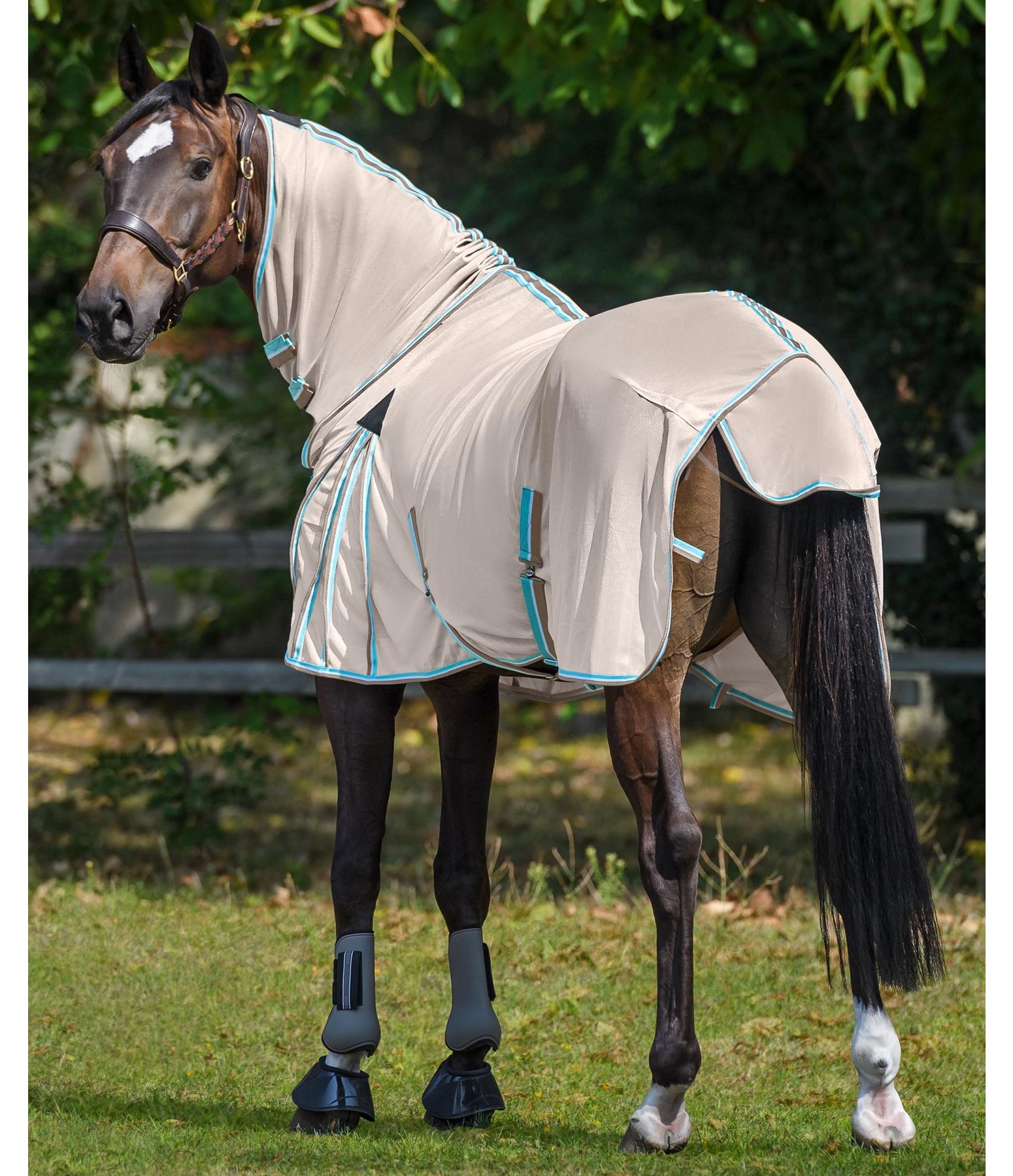 Fly Rug Full Neck Protect II Fly Rugs Kramer Equestrian
