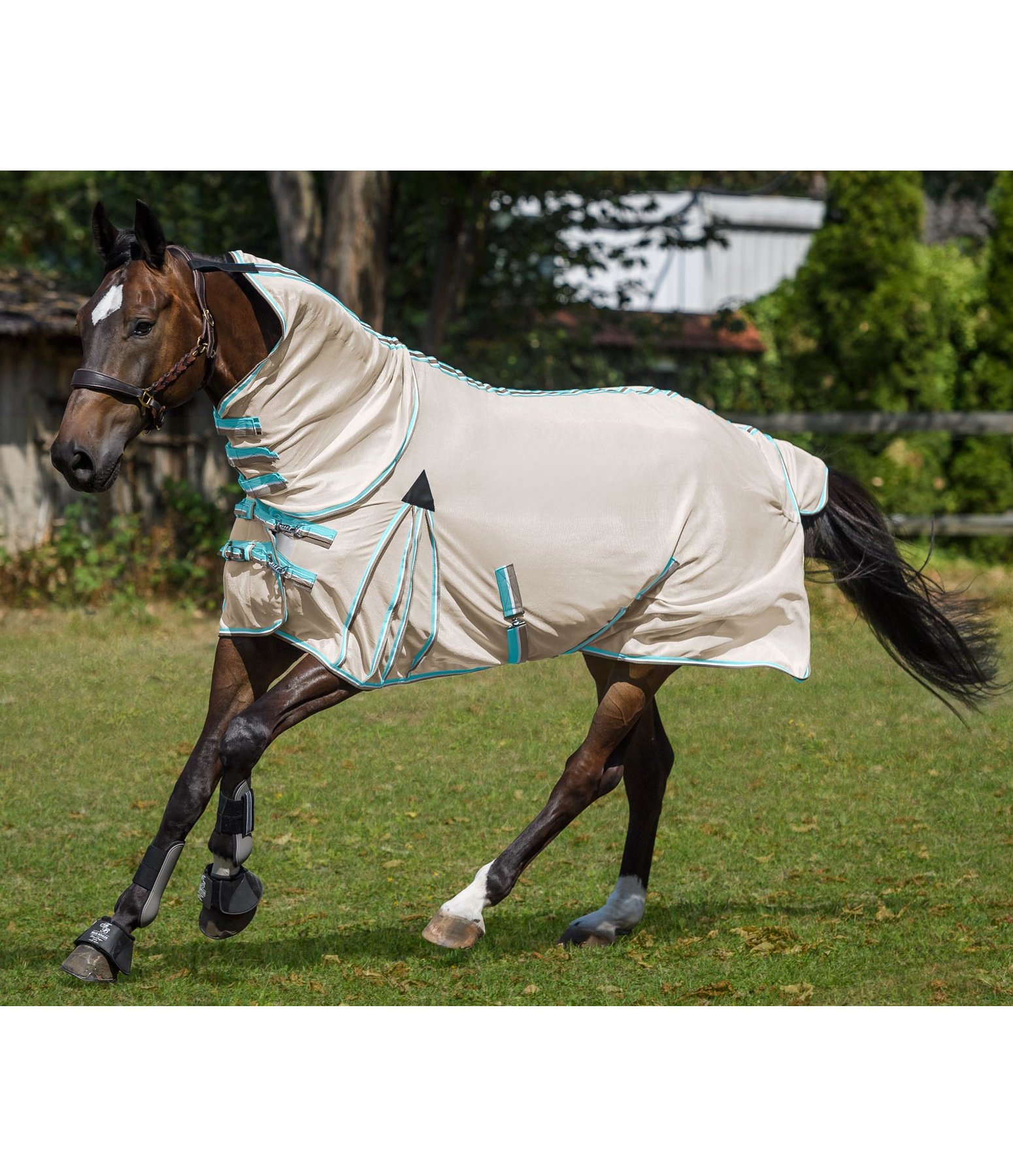 Fly Rug Full Neck Protect II Fly Rugs Kramer Equestrian