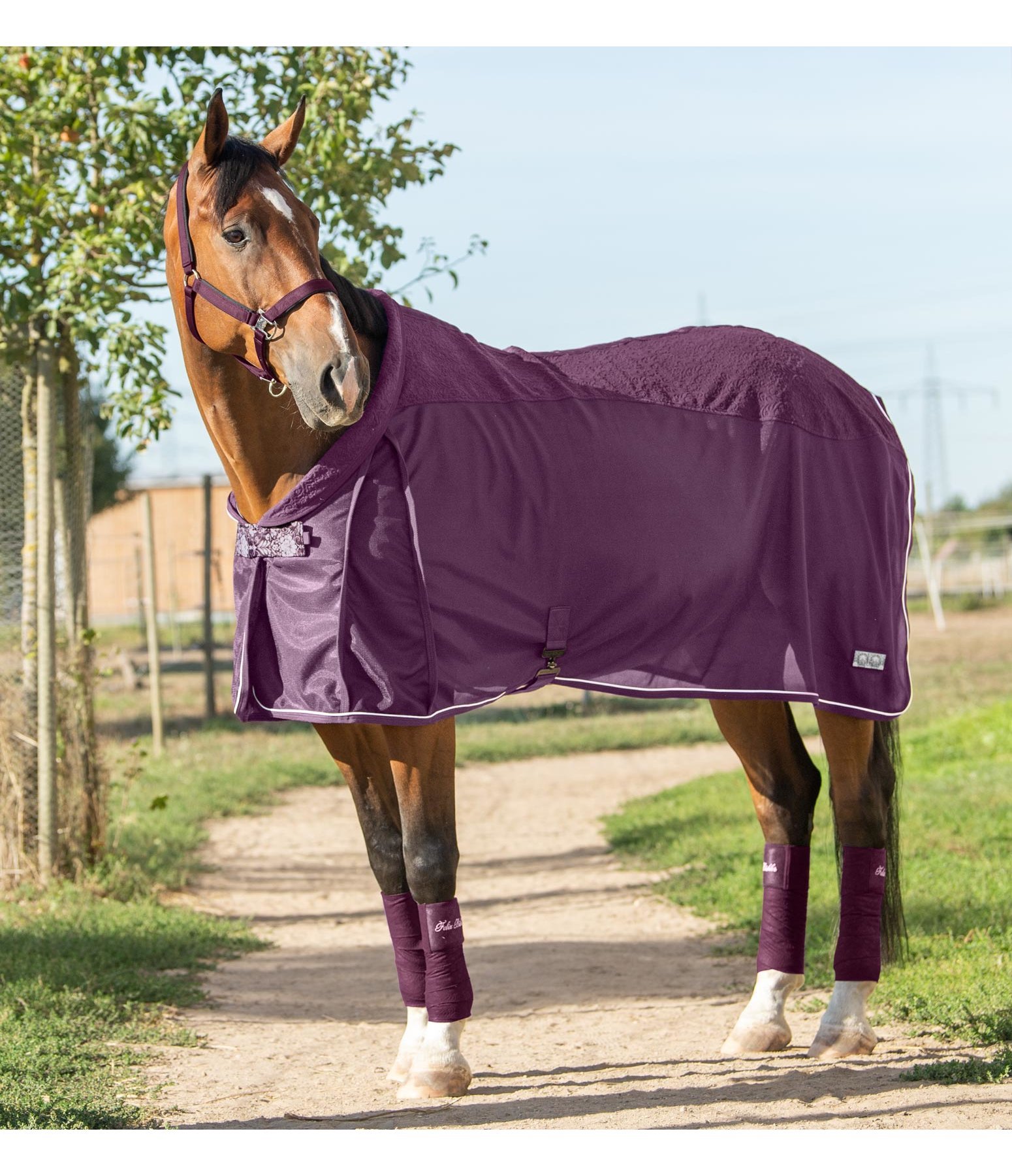 Fleece Fly Rug Oriental Summer Fly Rugs Kramer Equestrian