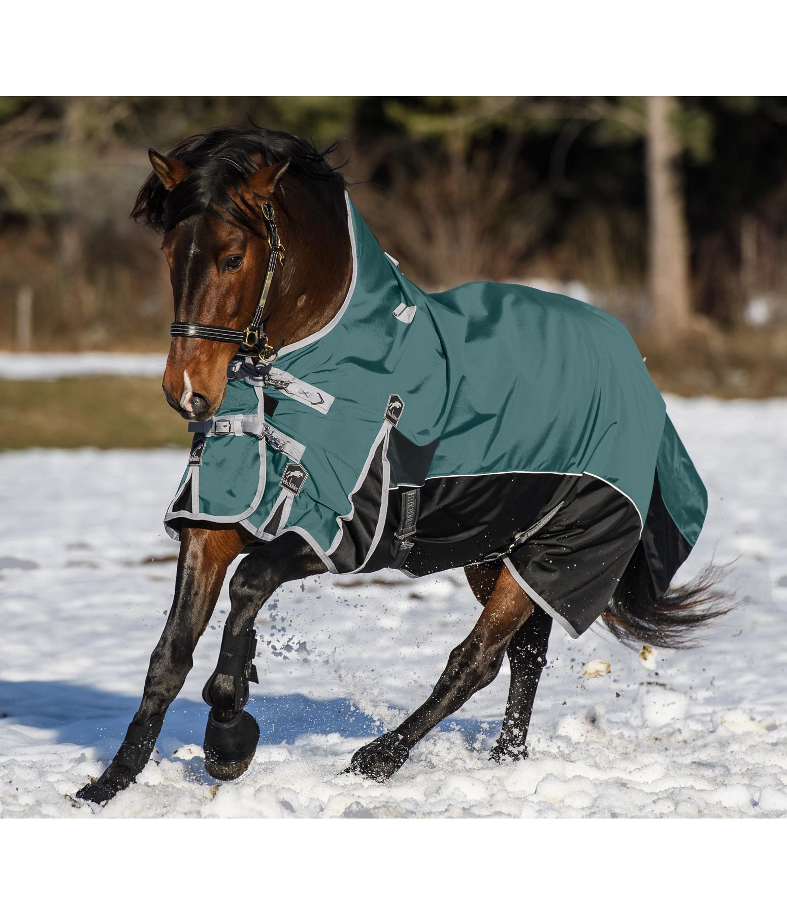 Power Winter Turnout Rug Poseidon 1680 D, 100g Kramer Equestrian