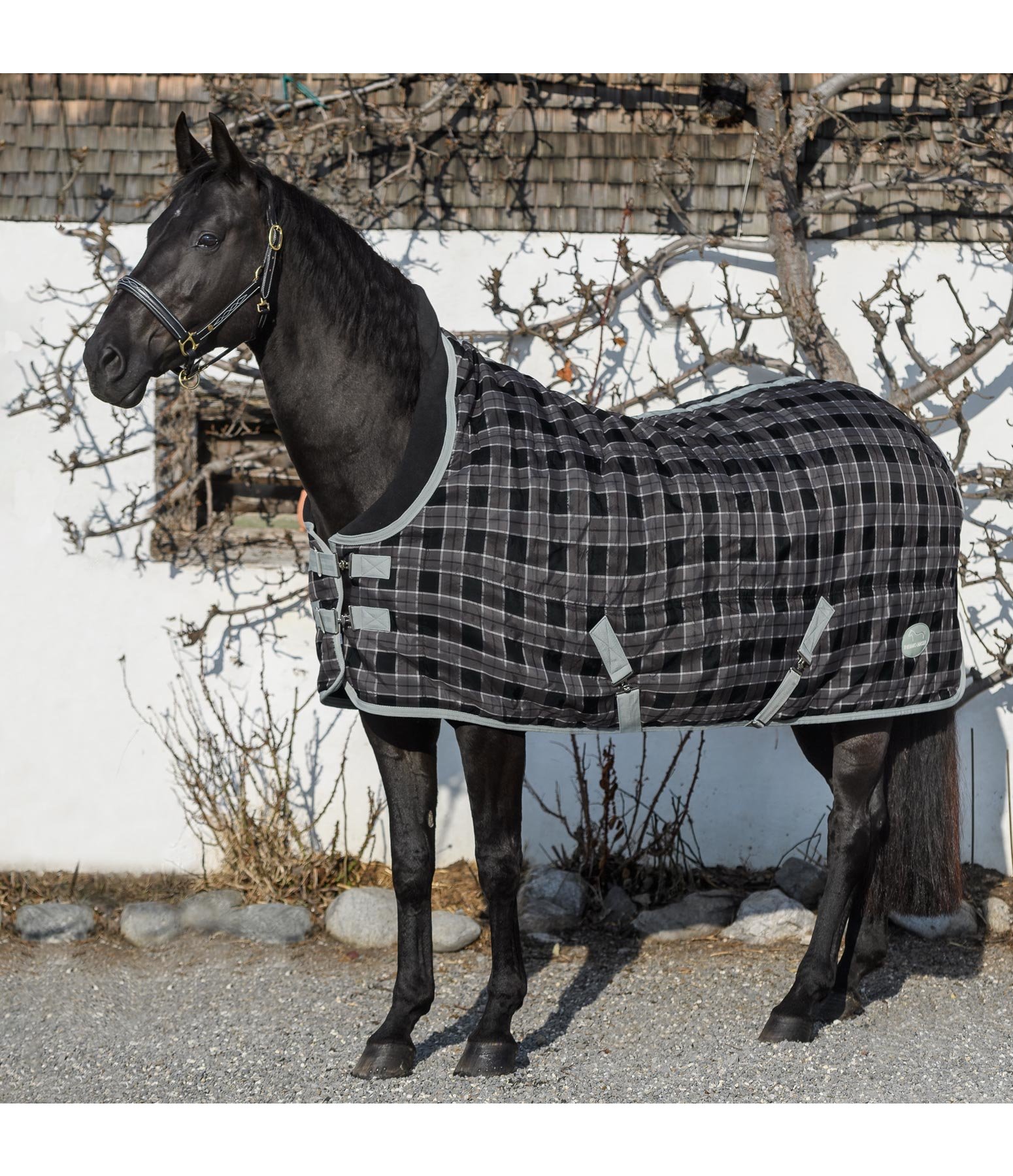 Winter Stable Rug Angoon, 300g Stable Rugs Kramer Equestrian