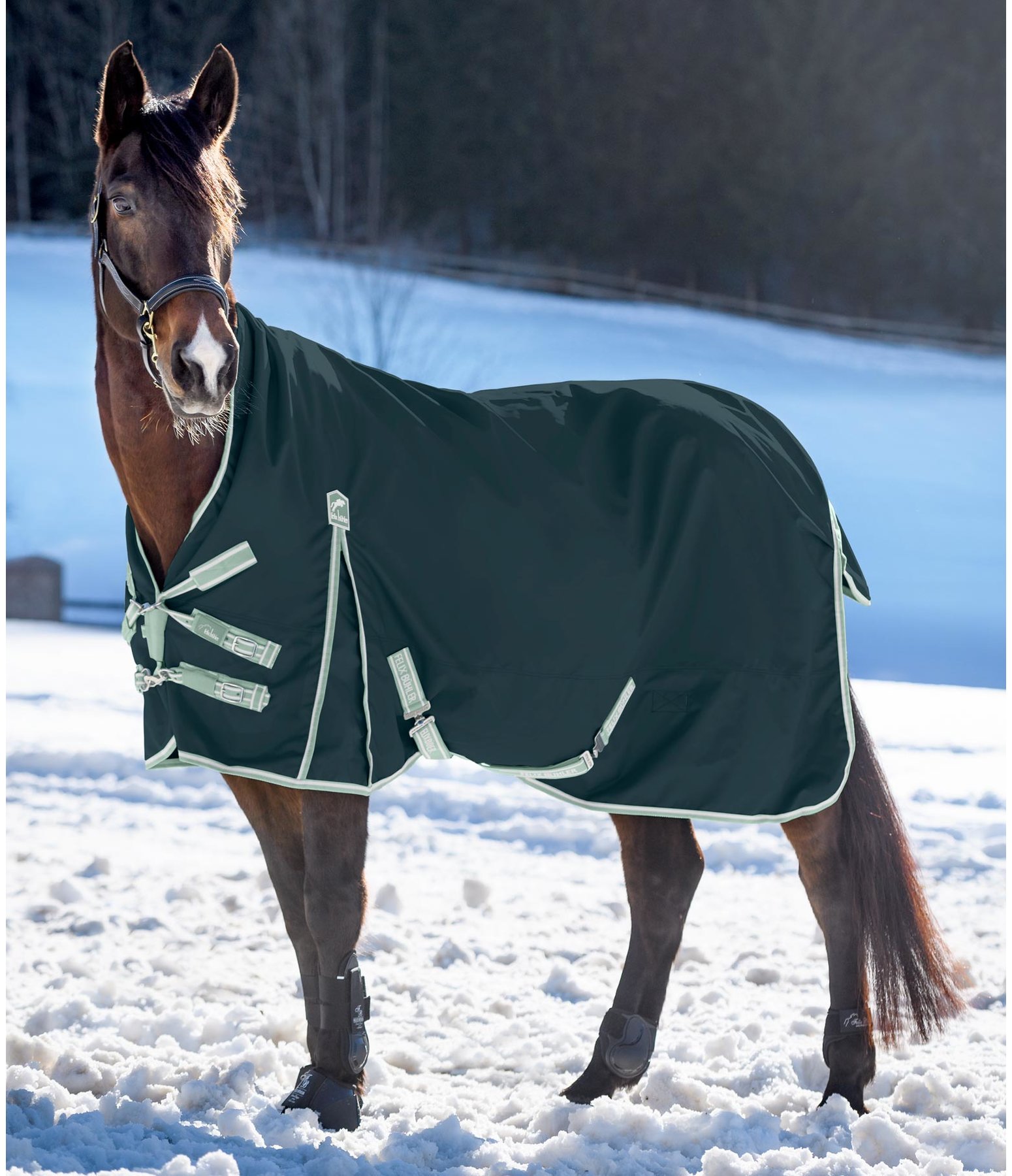High Neck Turnout Rug York, 50g Kramer Equestrian