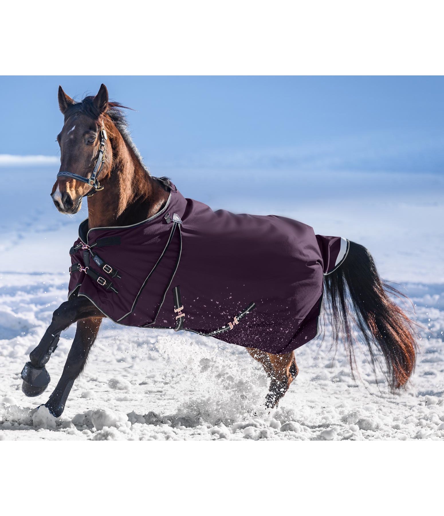 Turnout Rug Autumn Breeze II with Liner System Kramer Equestrian