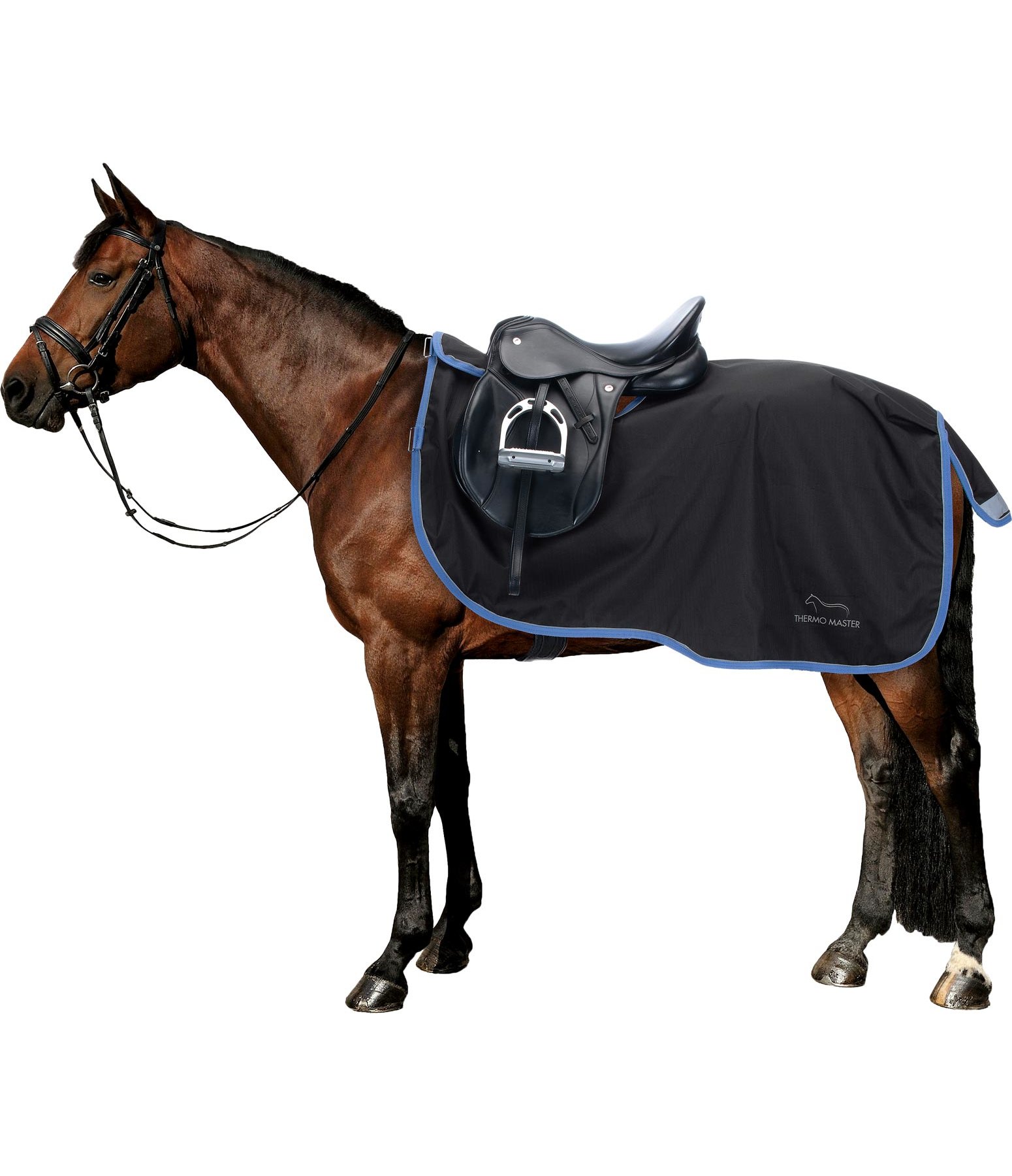 Waterproof Exercise Rug Jamilo Walker & Outdoor Exercise Rugs