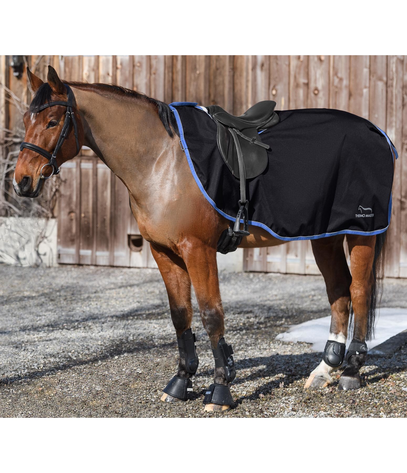 Waterproof Exercise Rug Jamilo Walker & Outdoor Exercise Rugs