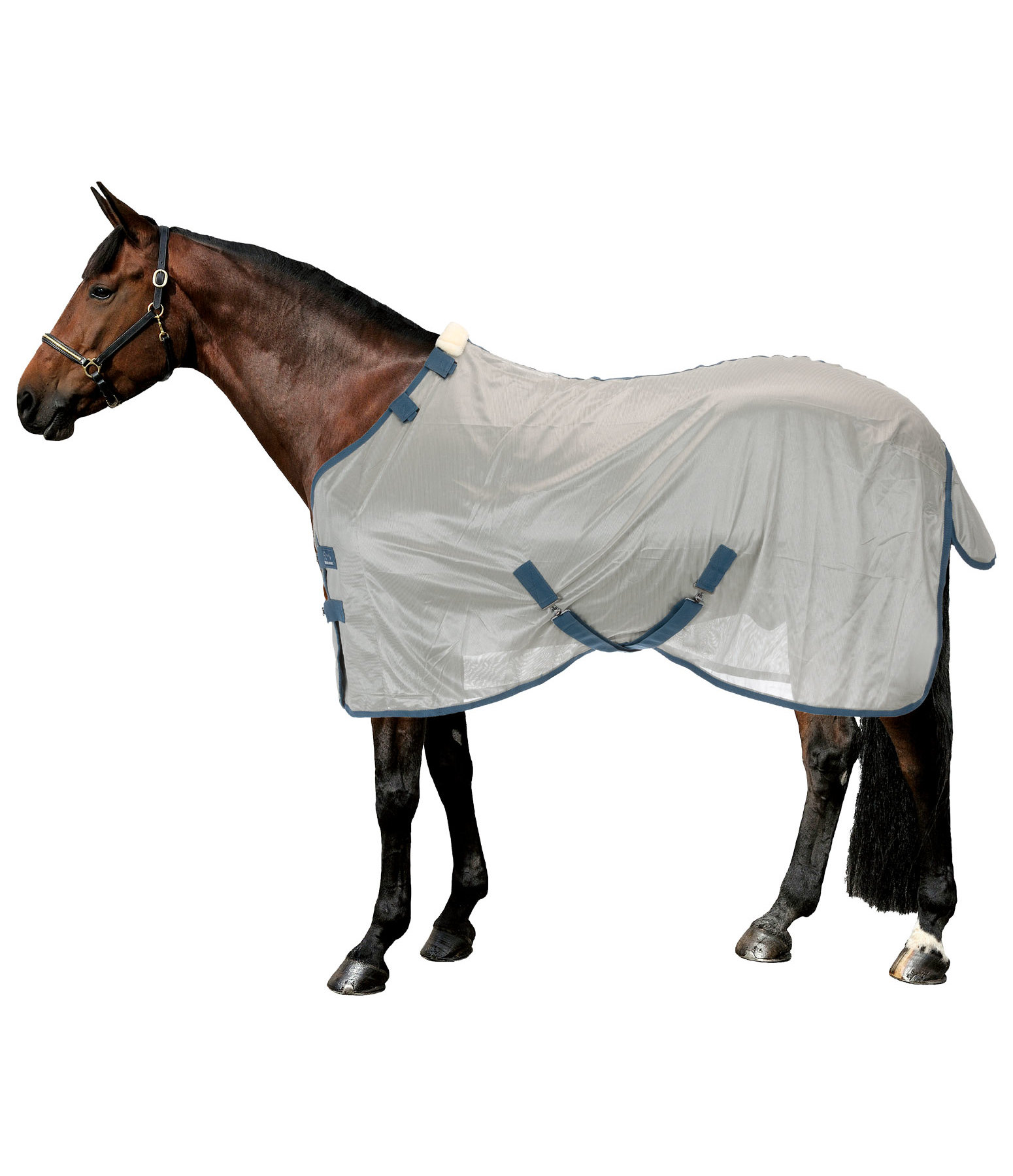 Fly Rug Zoe