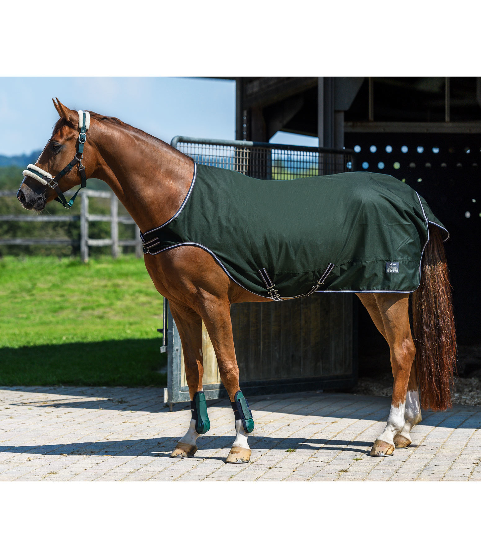 Outdoor Walker Rug Kasimo - Exercise Sheets & Walker Rugs ...