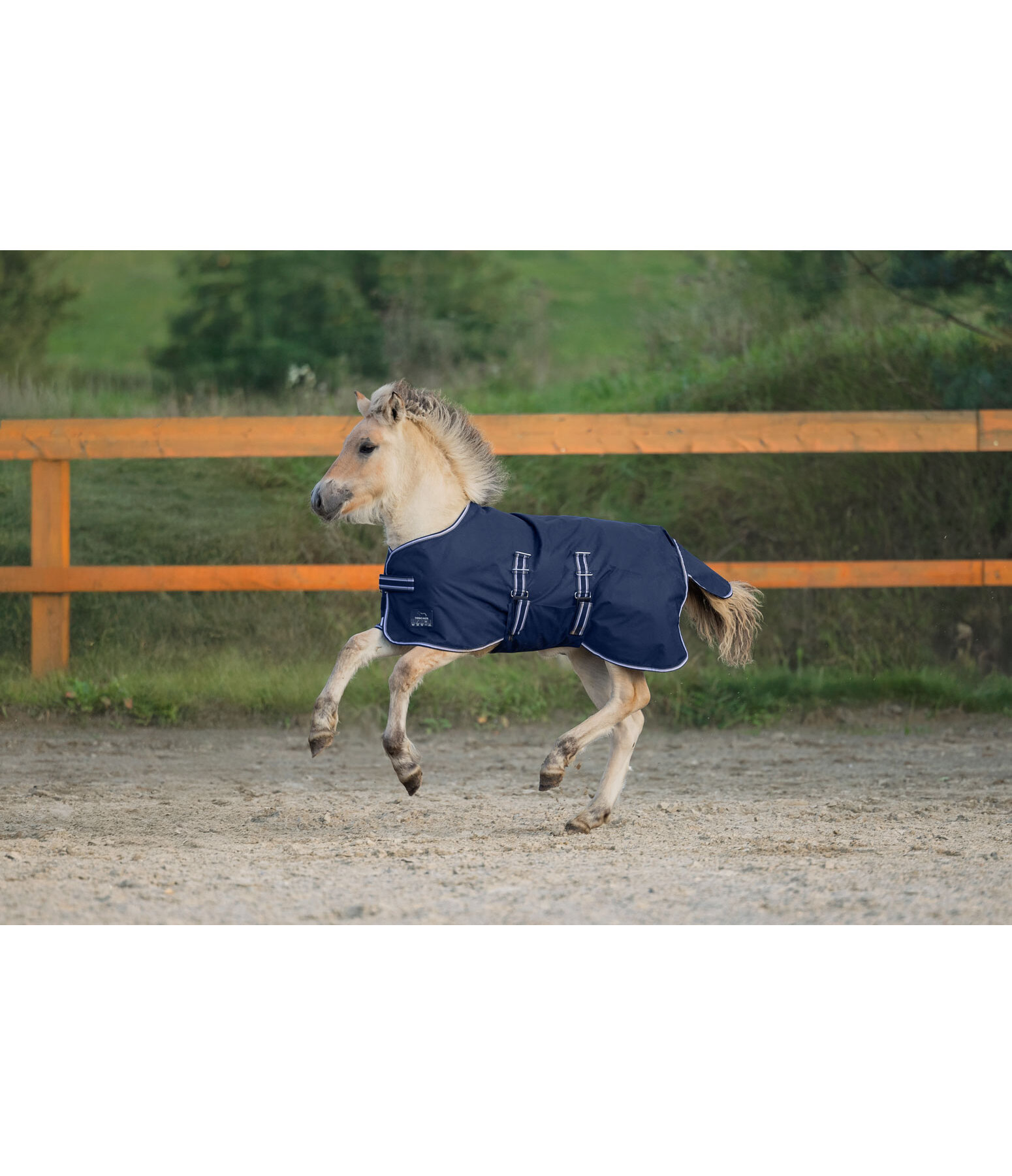 Foal and Shetland Pony Turnout Rug Kubi, 0g
