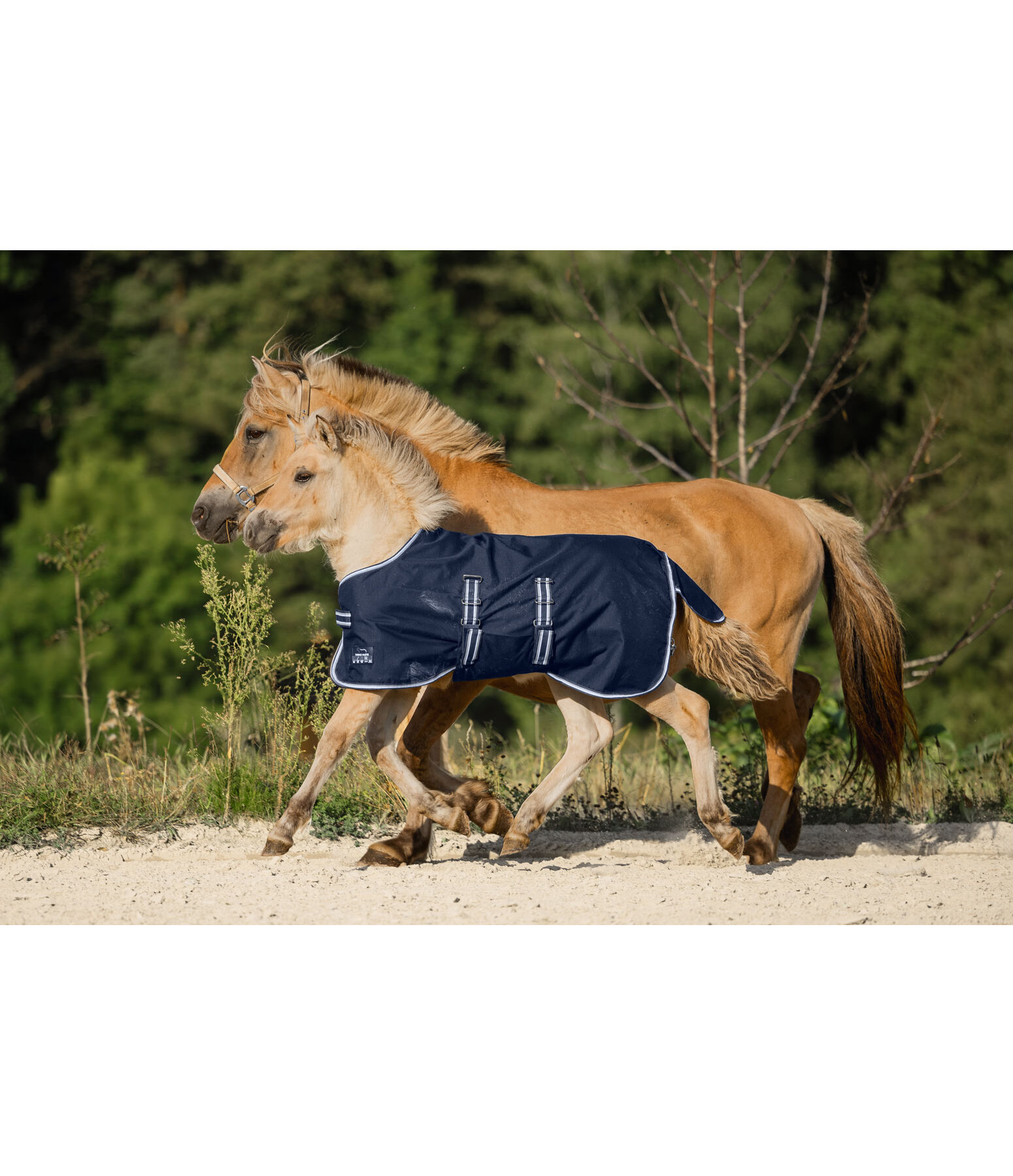 Foal and Shetland Pony Turnout Rug Kubi, 0g