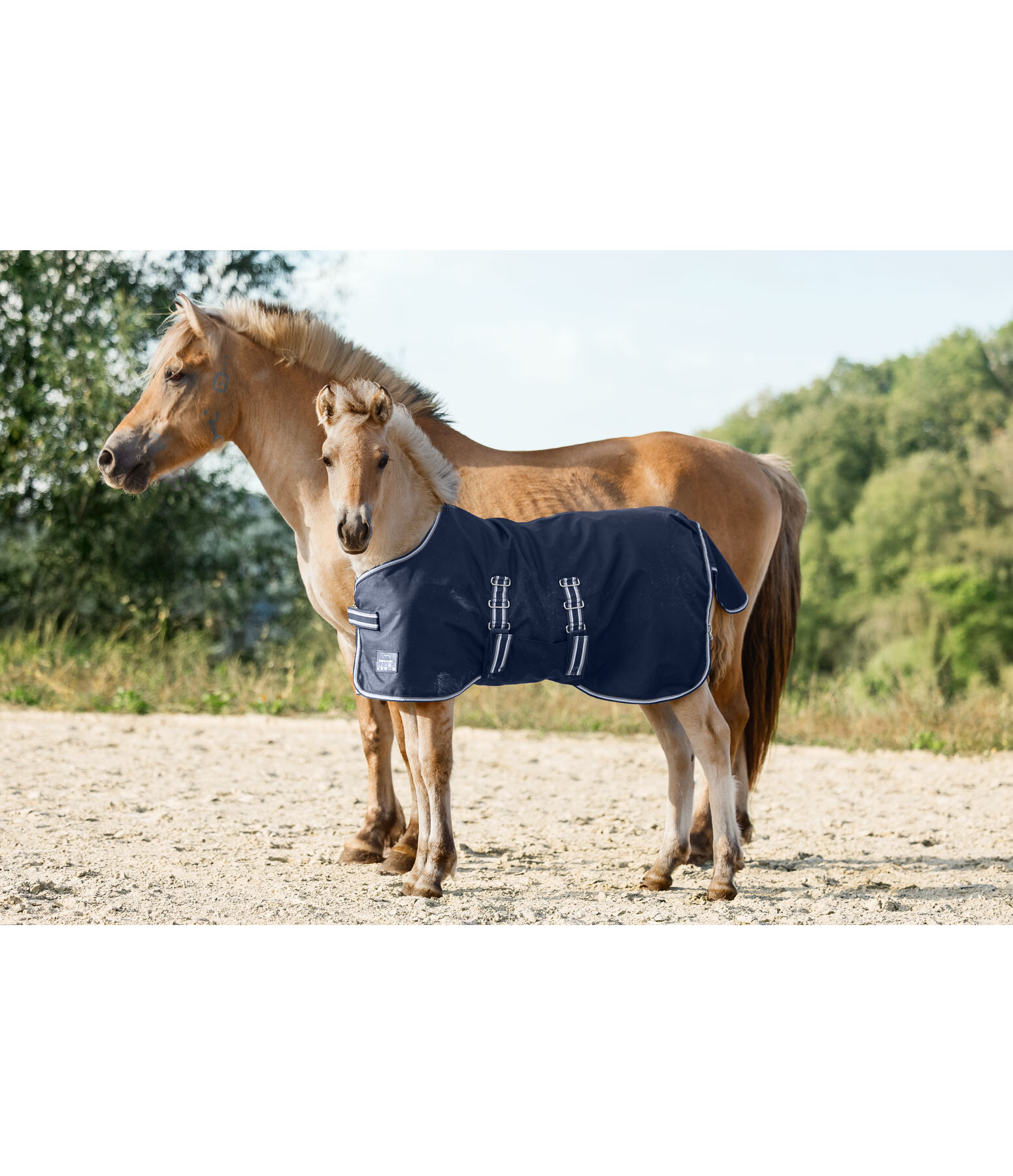 Foal and Shetland Pony Turnout Rug Kubi, 0g