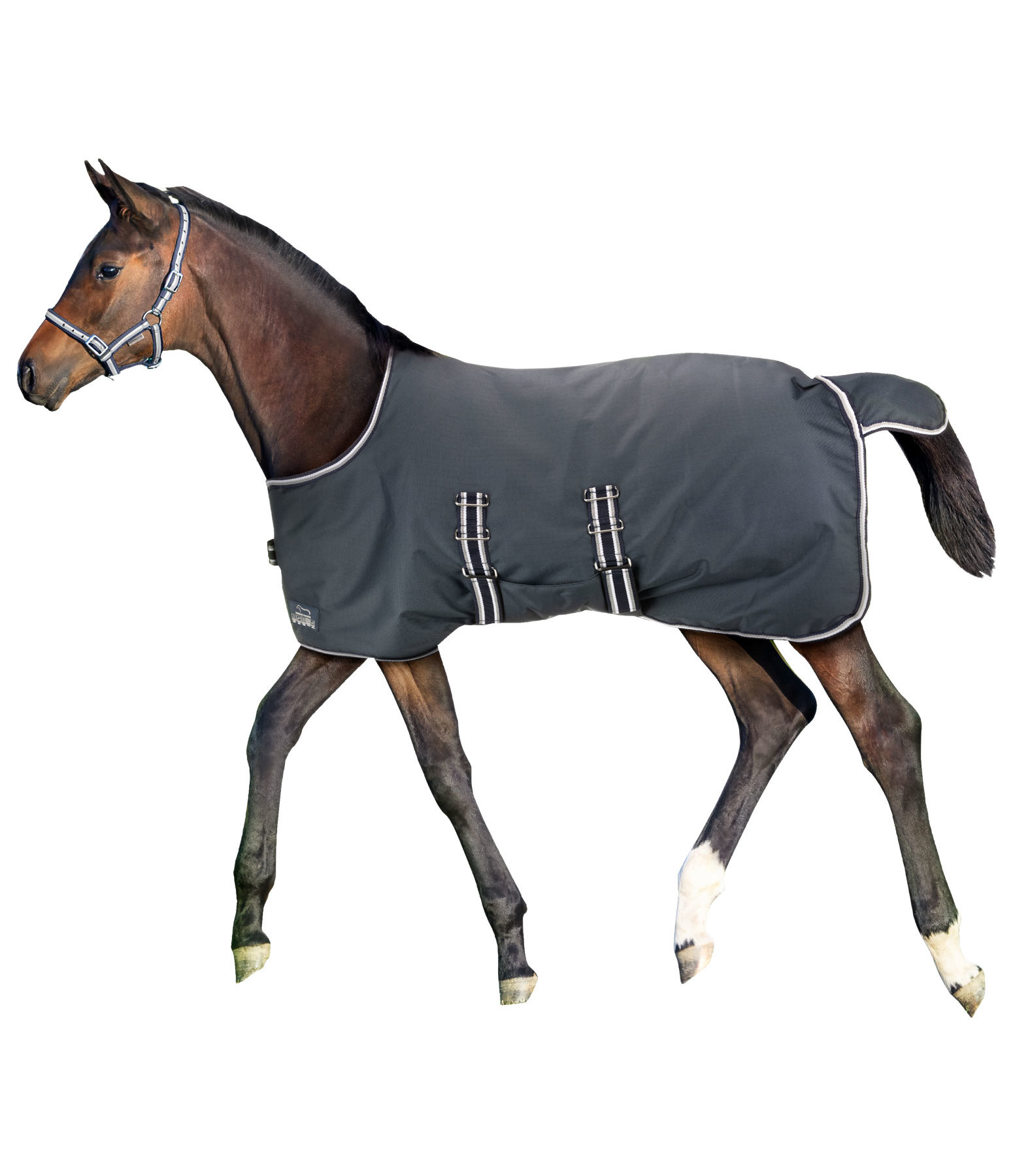 Foal and Shetland Pony Turnout Rug Kubi, 200g