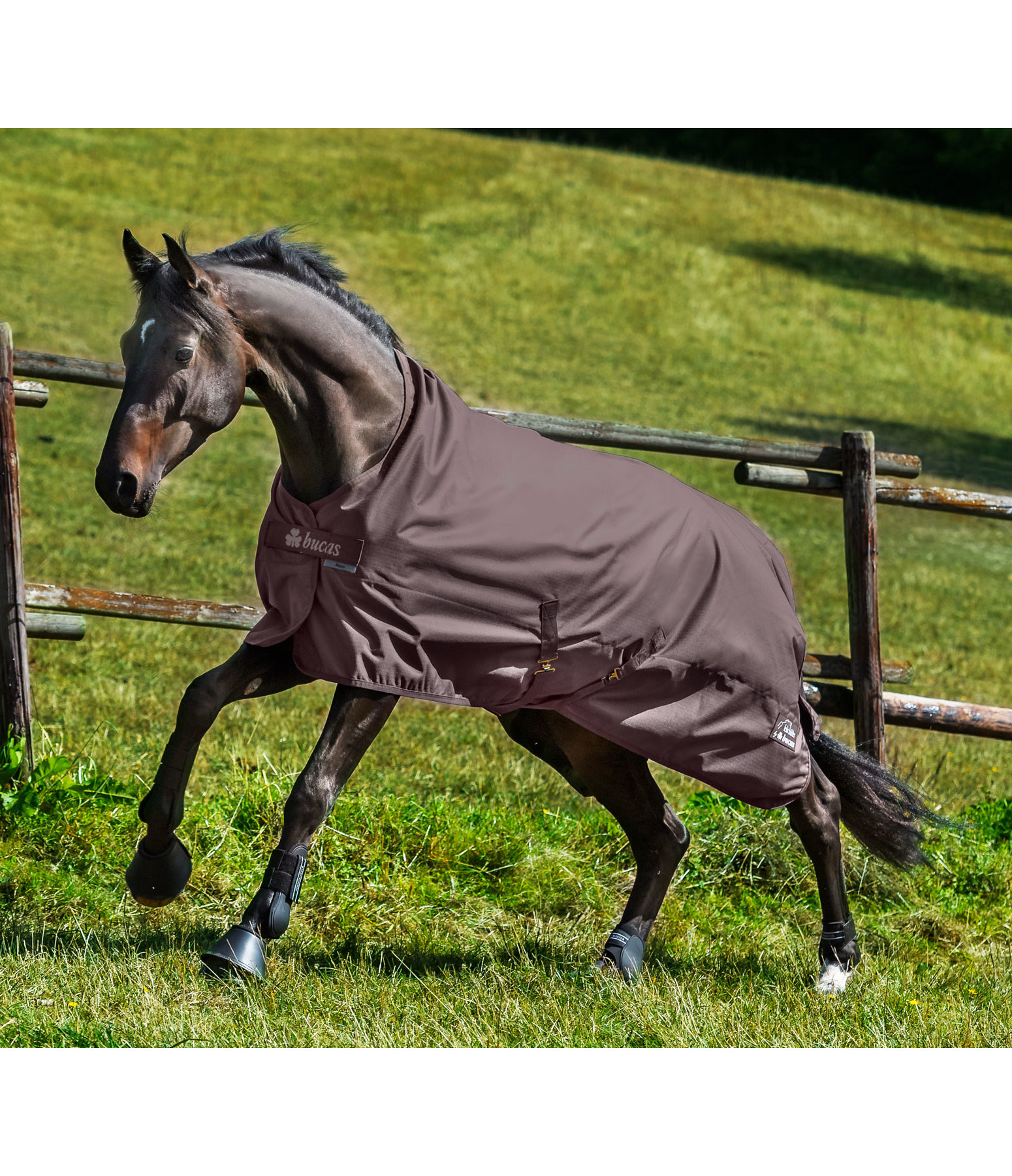 Felix Bühler by bucas High Neck Waterproof Turnout Rug Light, 0 g