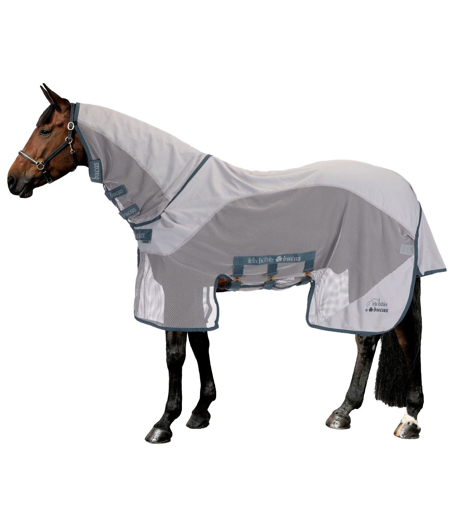 Felix Buhler By Bucas Sweet Itch X Light Kramer Equestrian