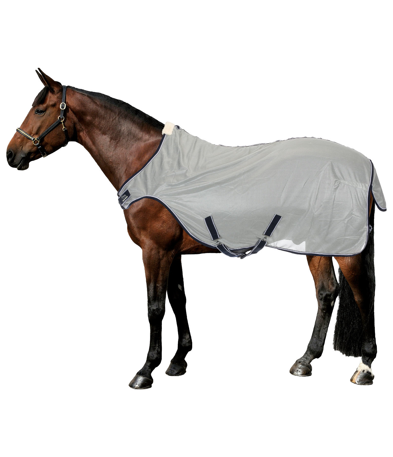 Motion Fly Protection Walker Rug Sahara