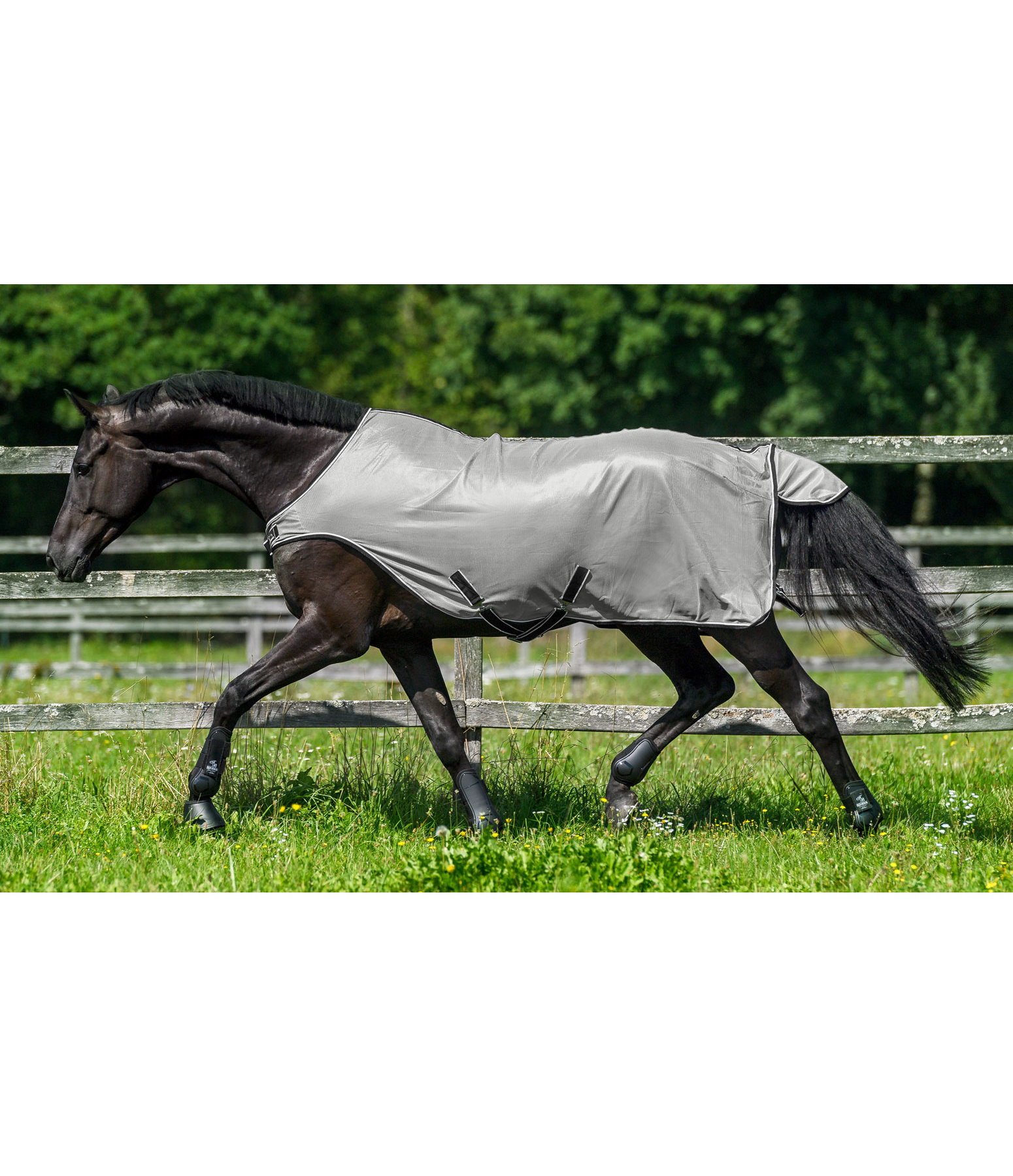 Motion Fly Protection Walker Rug Sahara