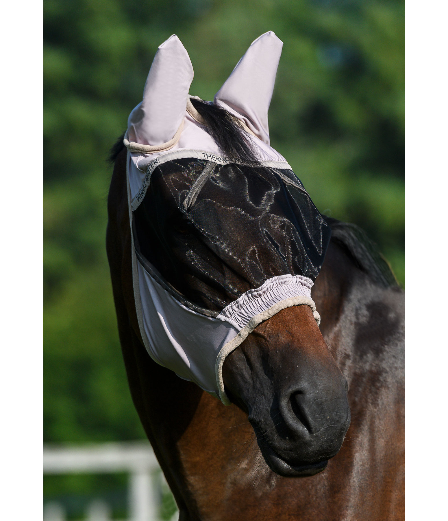 Fly Mask Elastic Fit