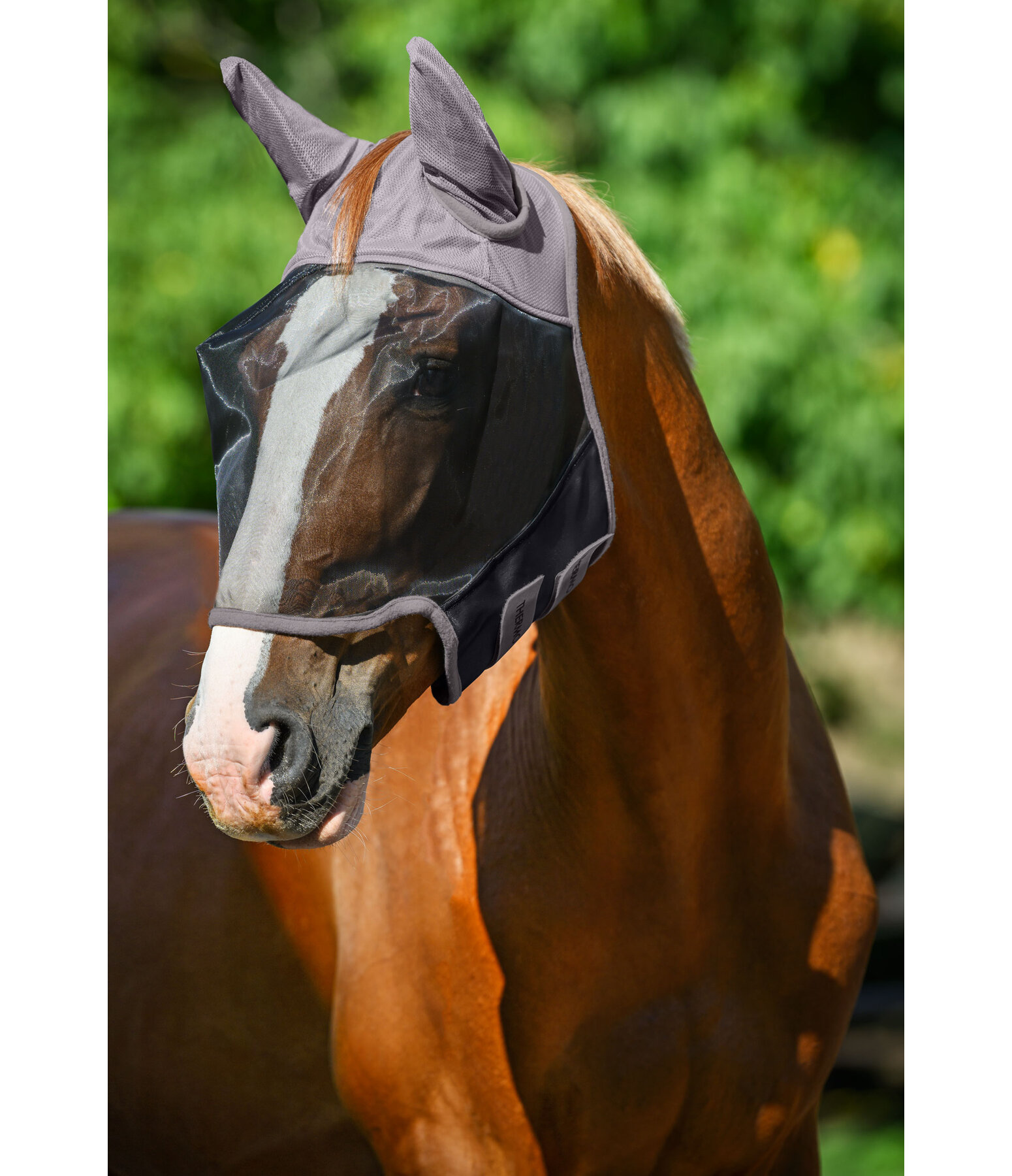 Fly Mask Eco