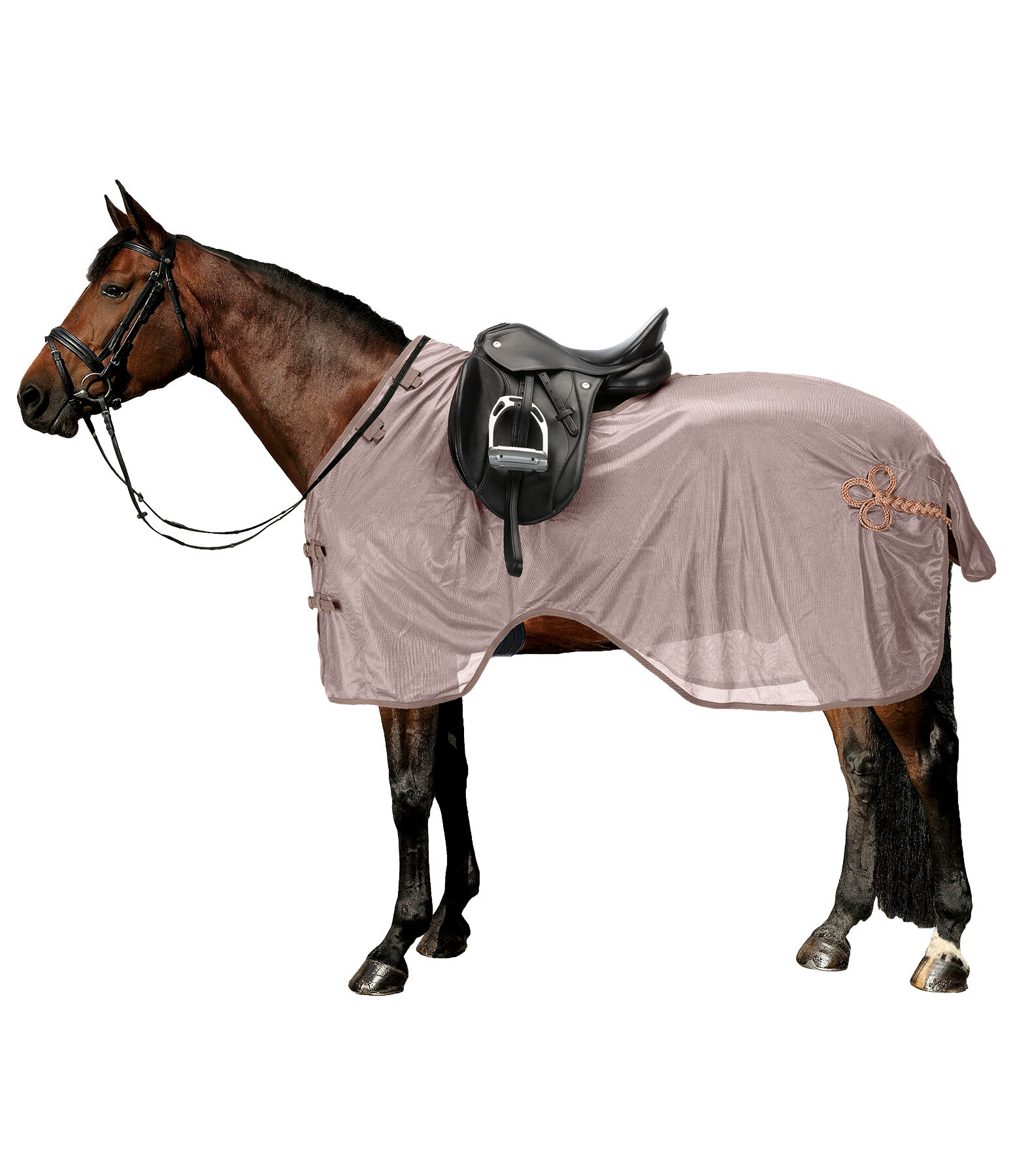 Fly Protection Exercise Rug Royal Kramer Equestrian