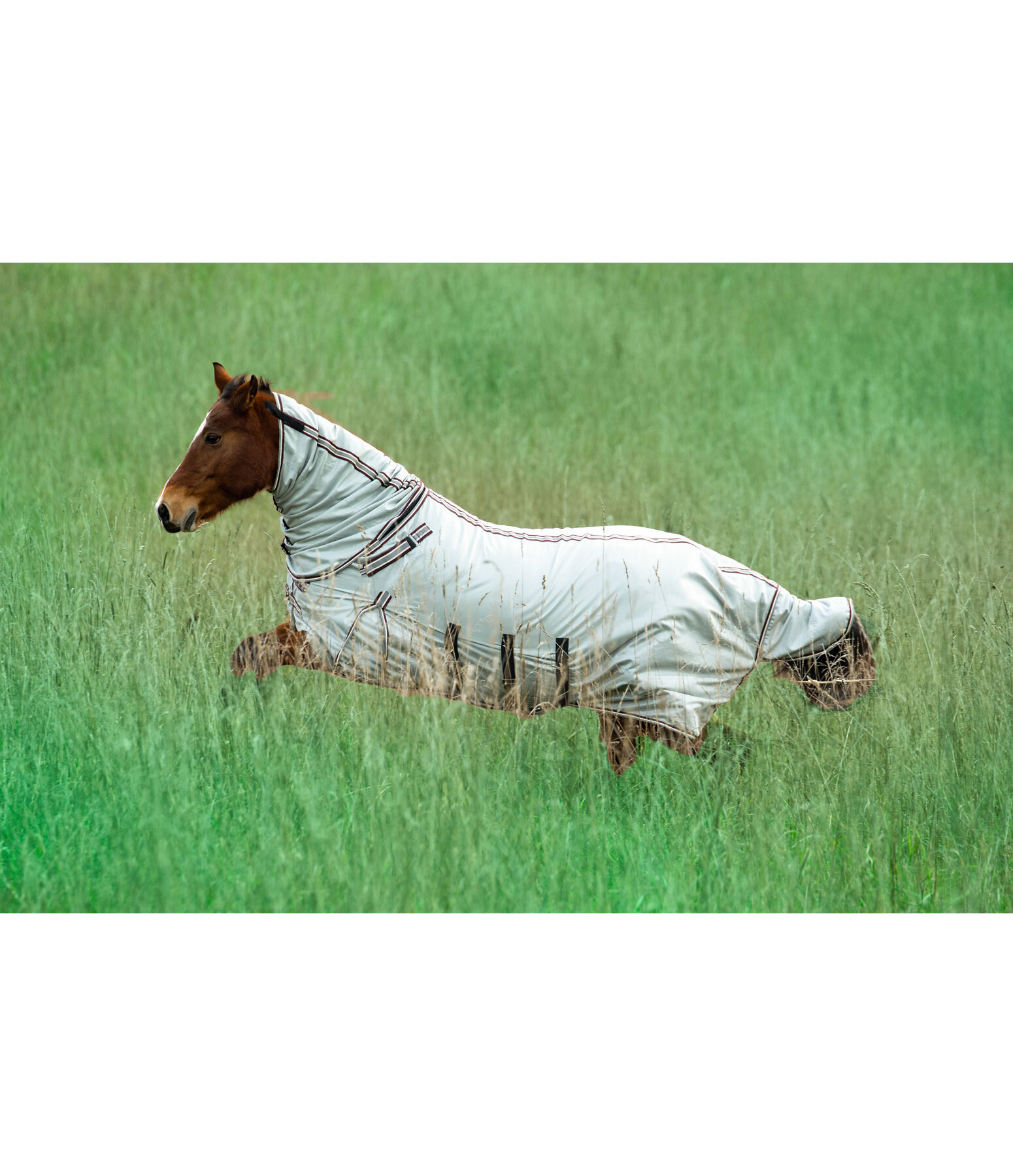 Full Neck Fly Rug Karoo