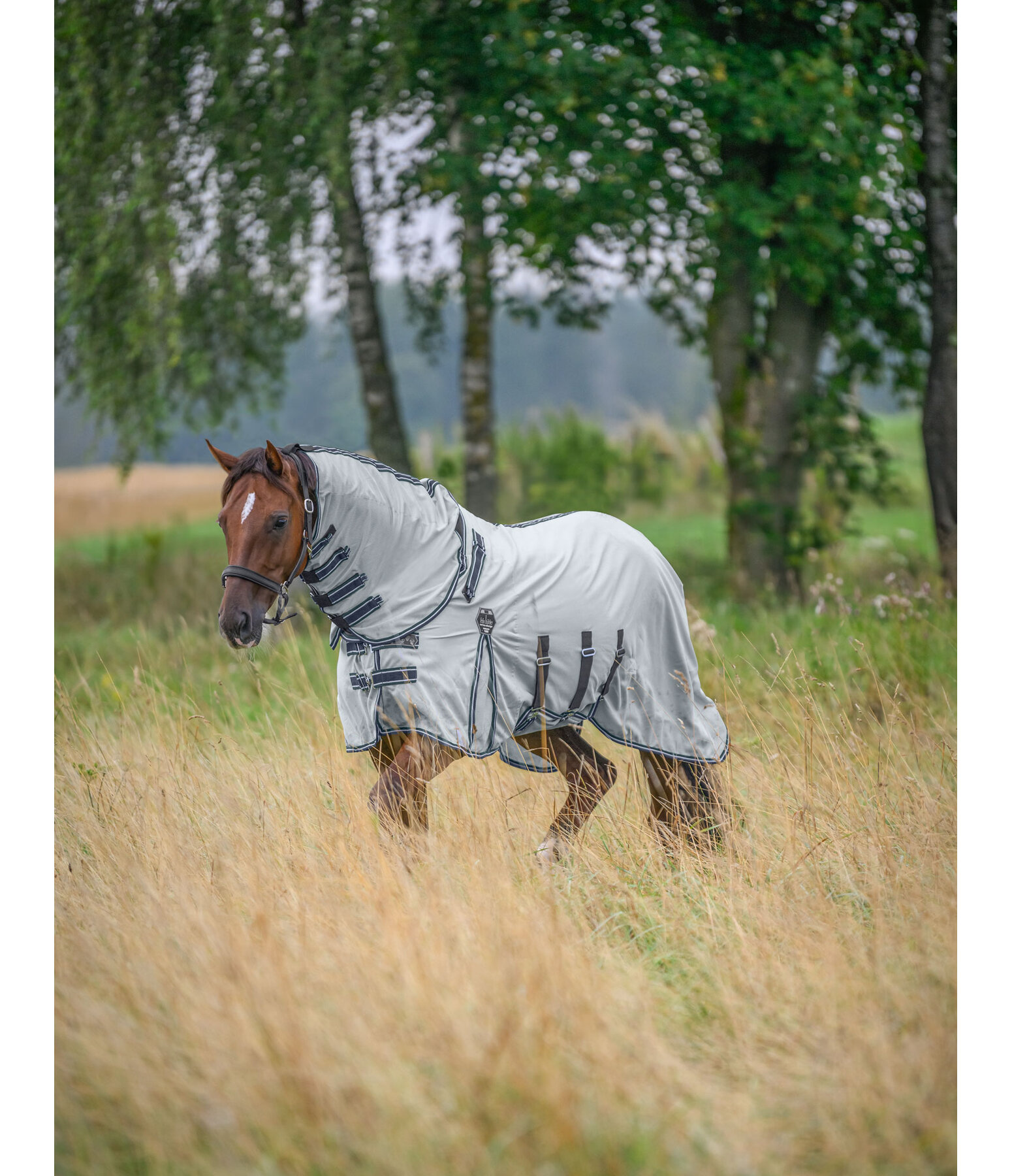 Full Neck Fly Rug Karoo