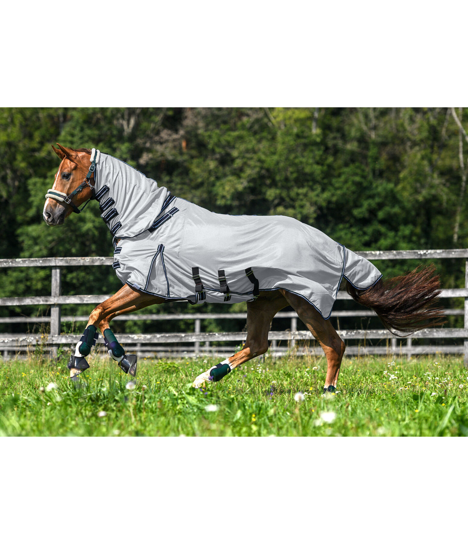 Full Neck Fly Rug Karoo