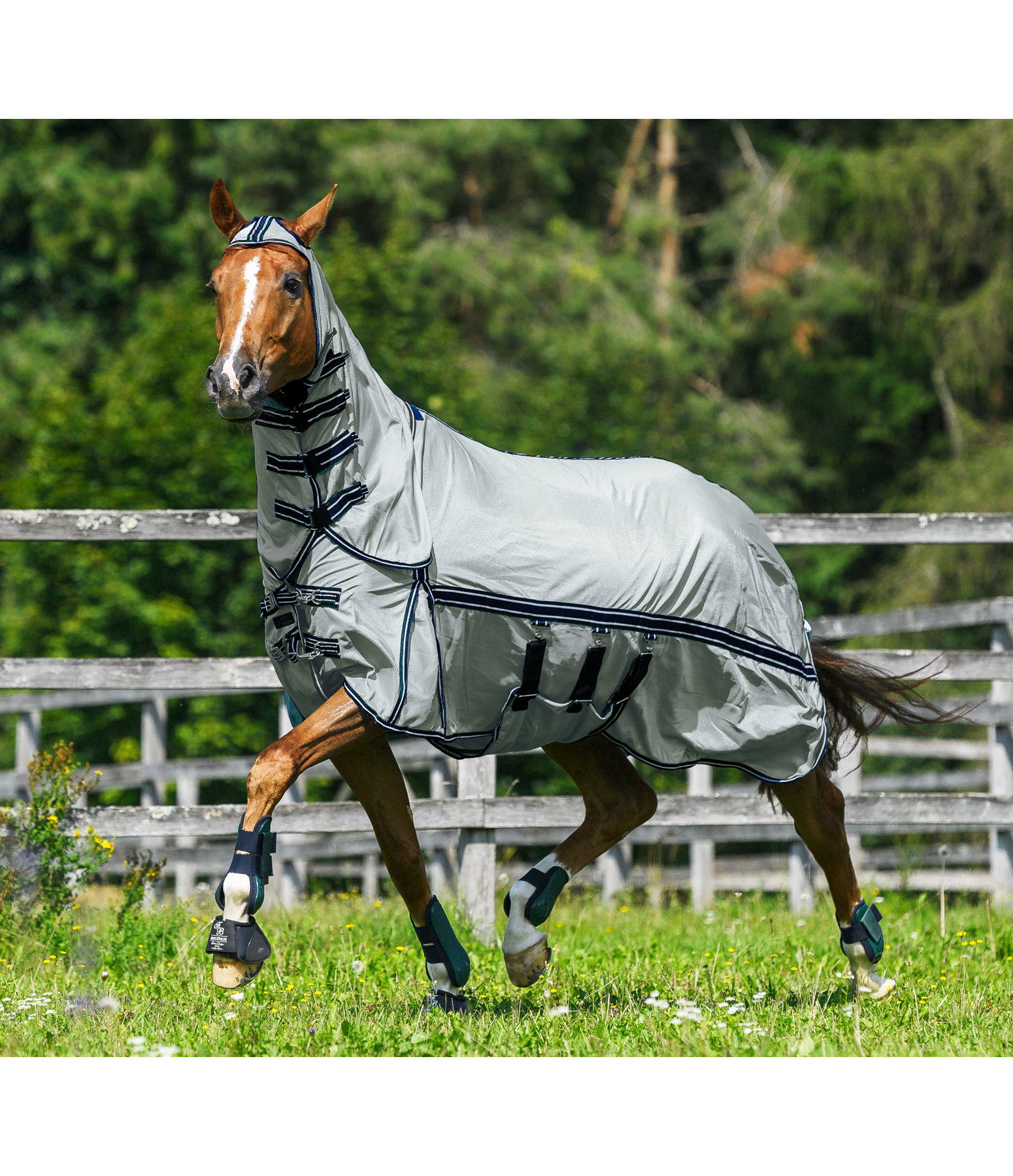 Full Neck Fly Rug Gobi Sweet Itch Rugs Kramer Equestrian