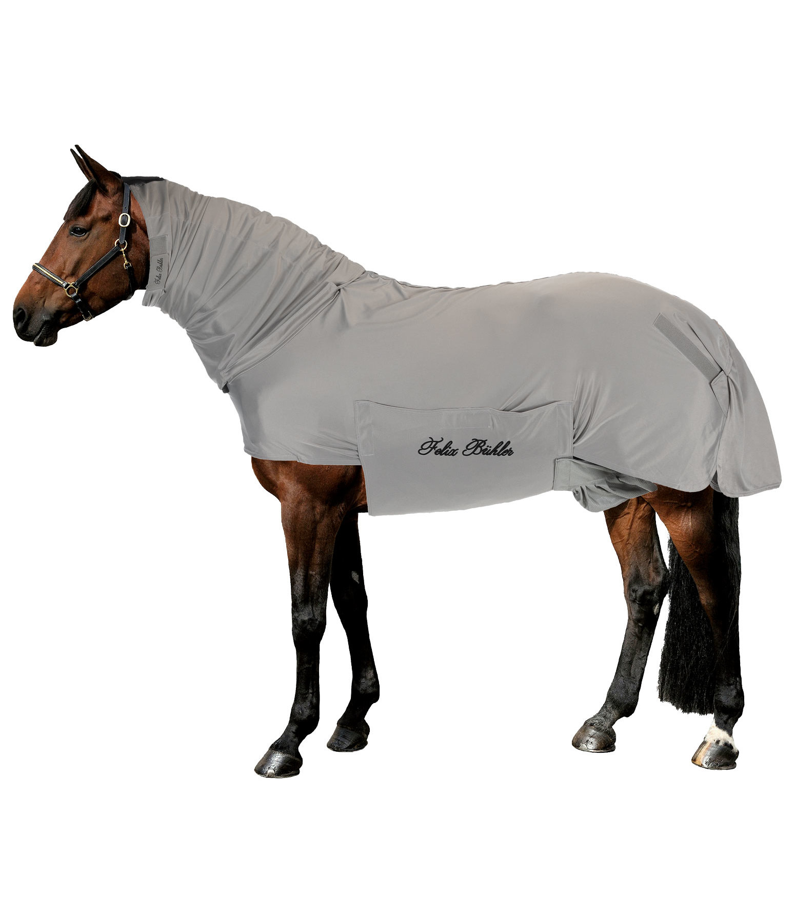 Sweet Itch Fly Rug Gibson