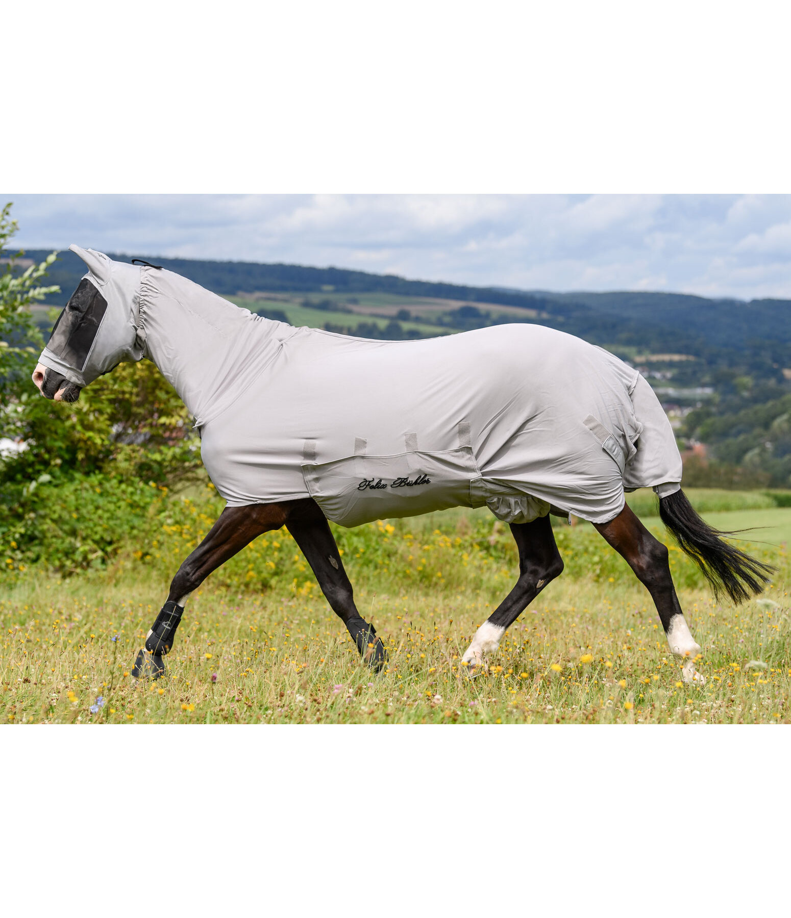 Sweet Itch Fly Rug Gibson Fly Rugs Kramer Equestrian