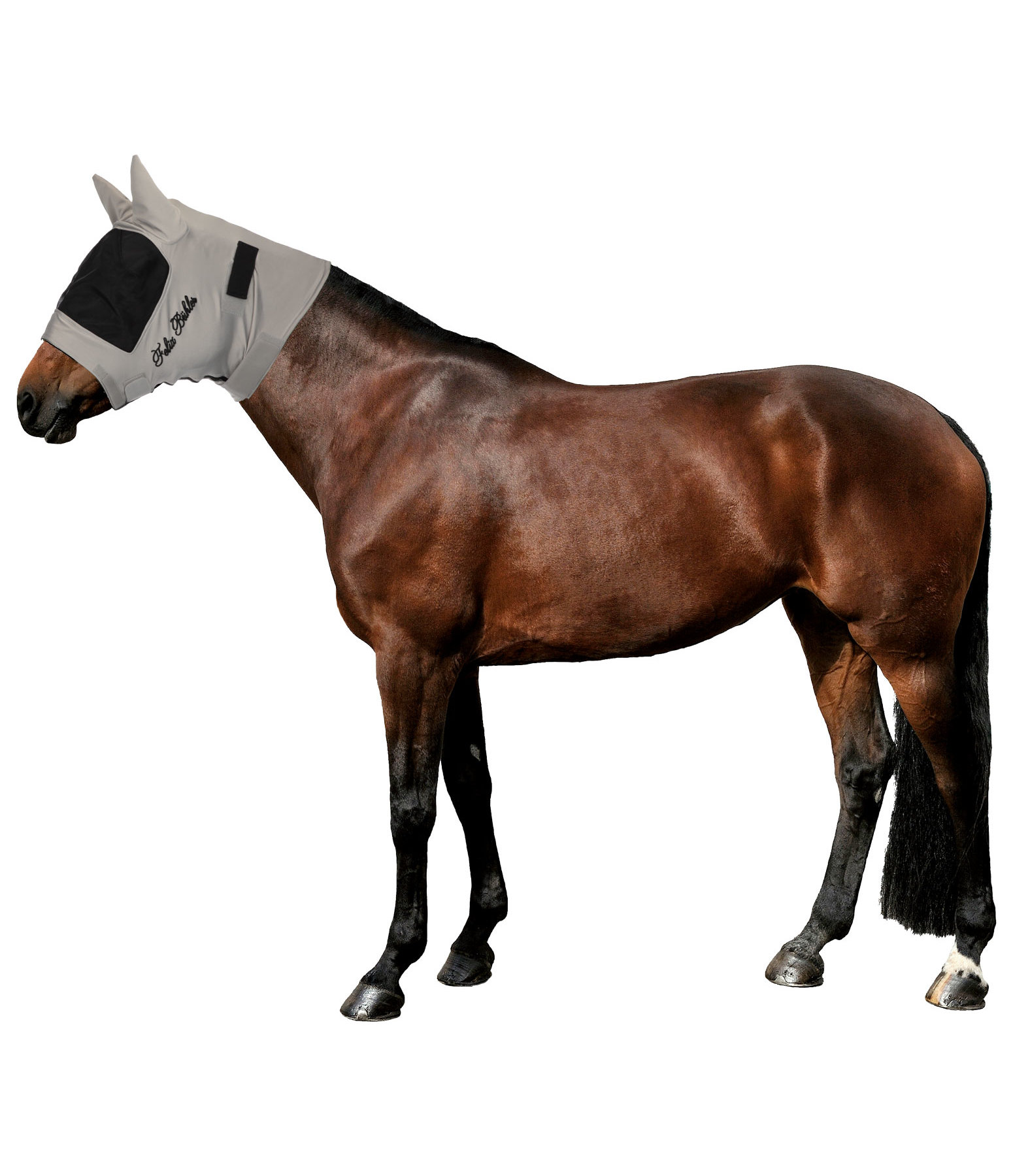 Sweet Itch Fly Mask Gibson Fly Masks Fringes Kramer Equestrian