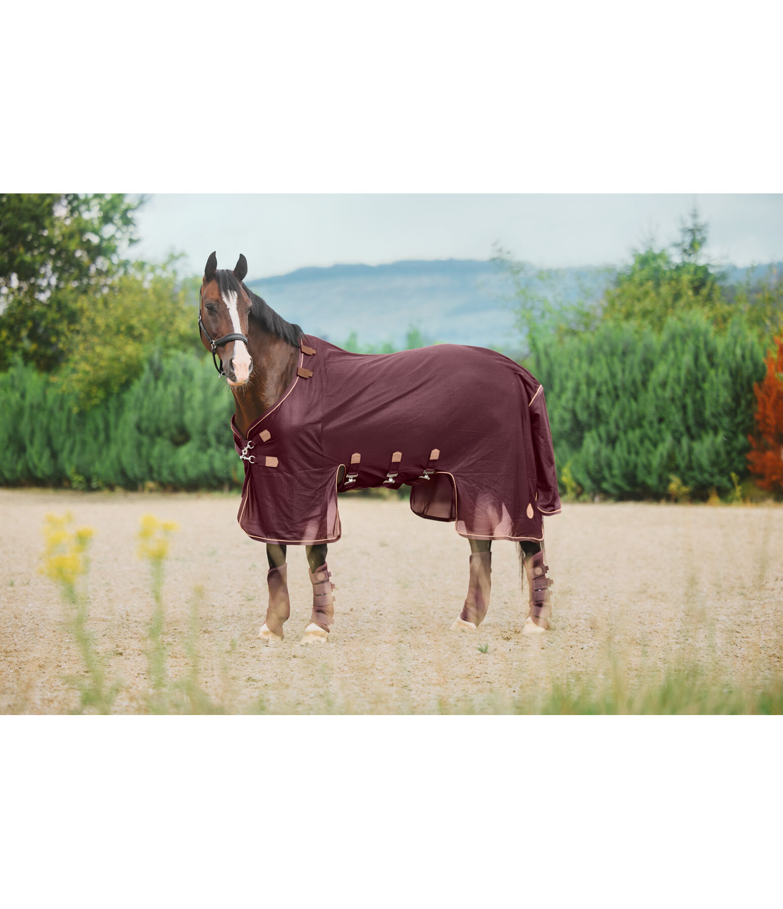 Full Neck Fly Rug Timeless Elegance with Detachable Neck Piece