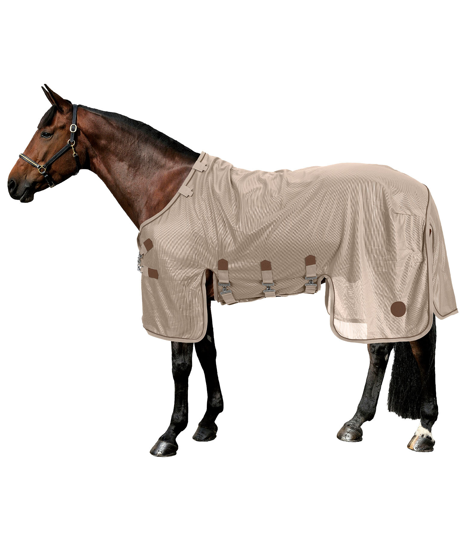 Full Neck Fly Rug Timeless Elegance with Detachable Neck Piece