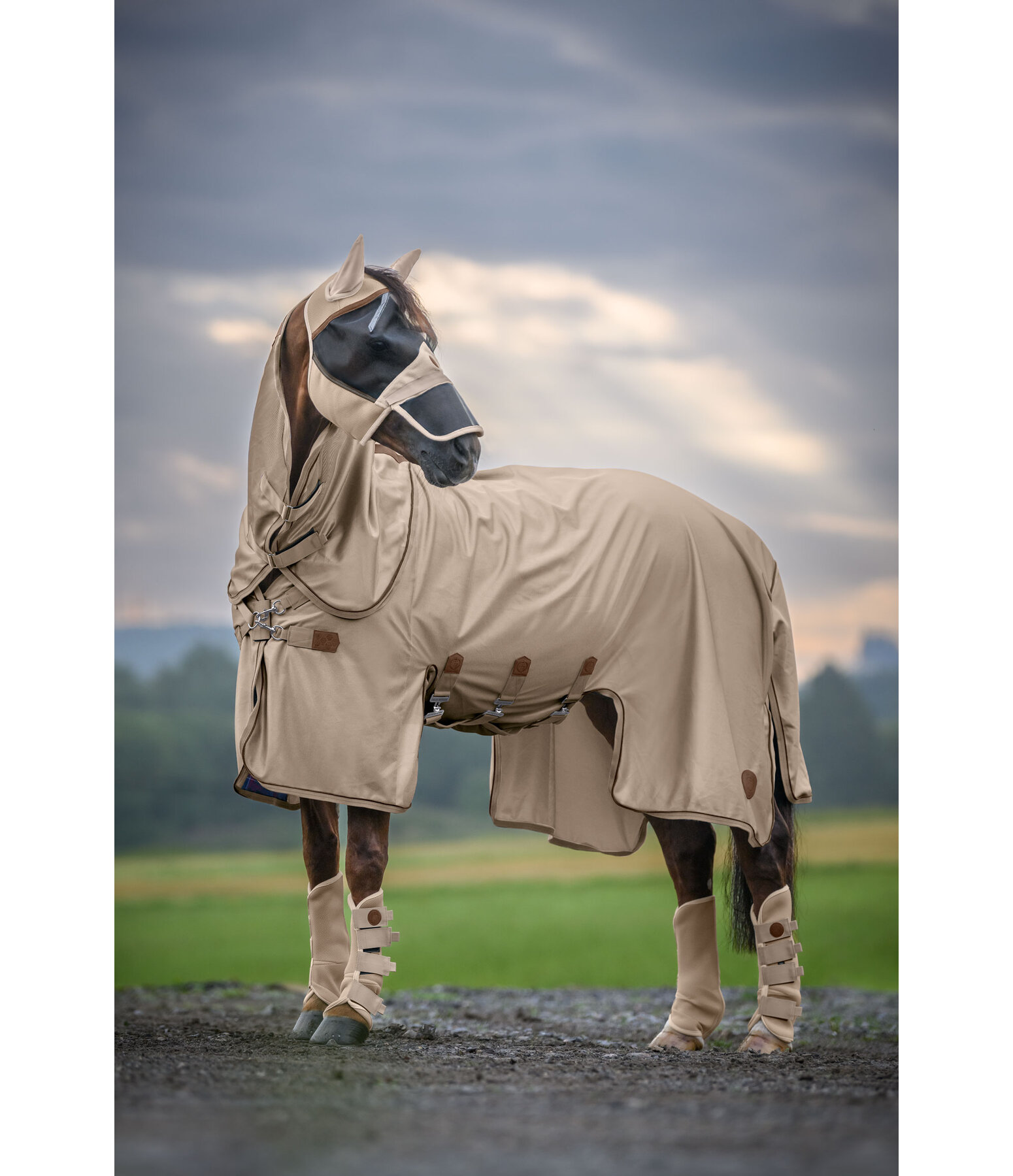 Full Neck Fly Rug Timeless Elegance with Detachable Neck Piece