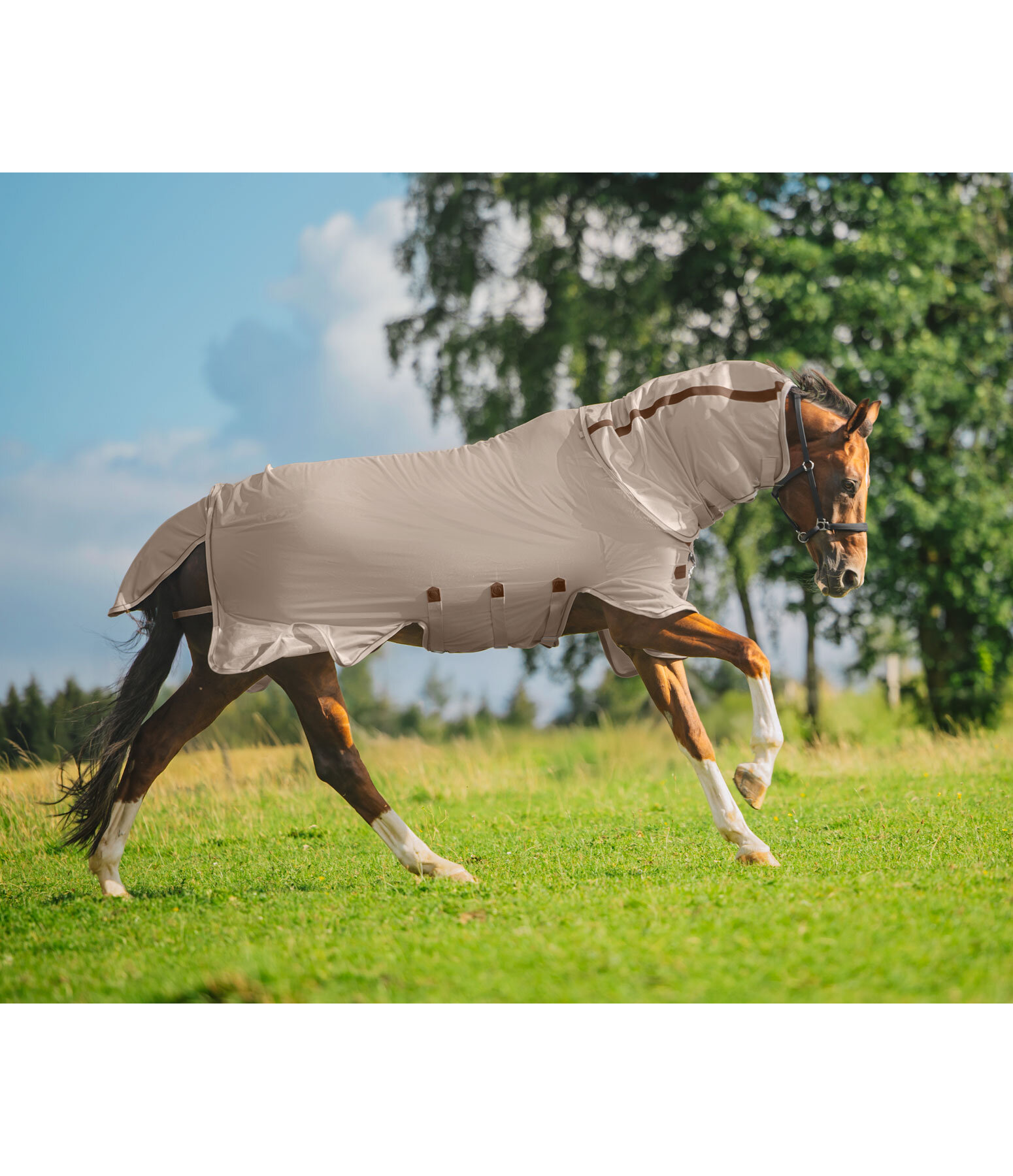 Full Neck Fly Rug Timeless Elegance with Detachable Neck Piece